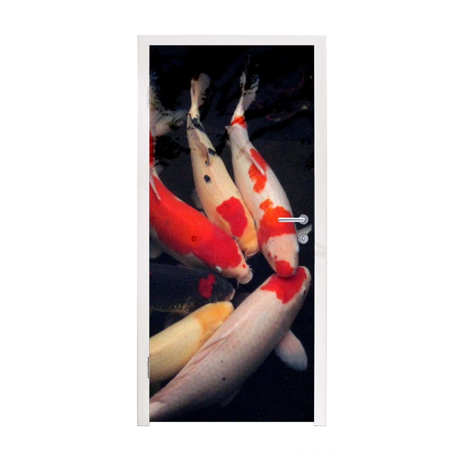 Türaufkleber, Hintergrund, Koi-Karpfen Matt, 75x205 cm Sechs St), für MuchoWow einem Fototapete vor Türtapete schwarzen bedruckt, Tür, (1