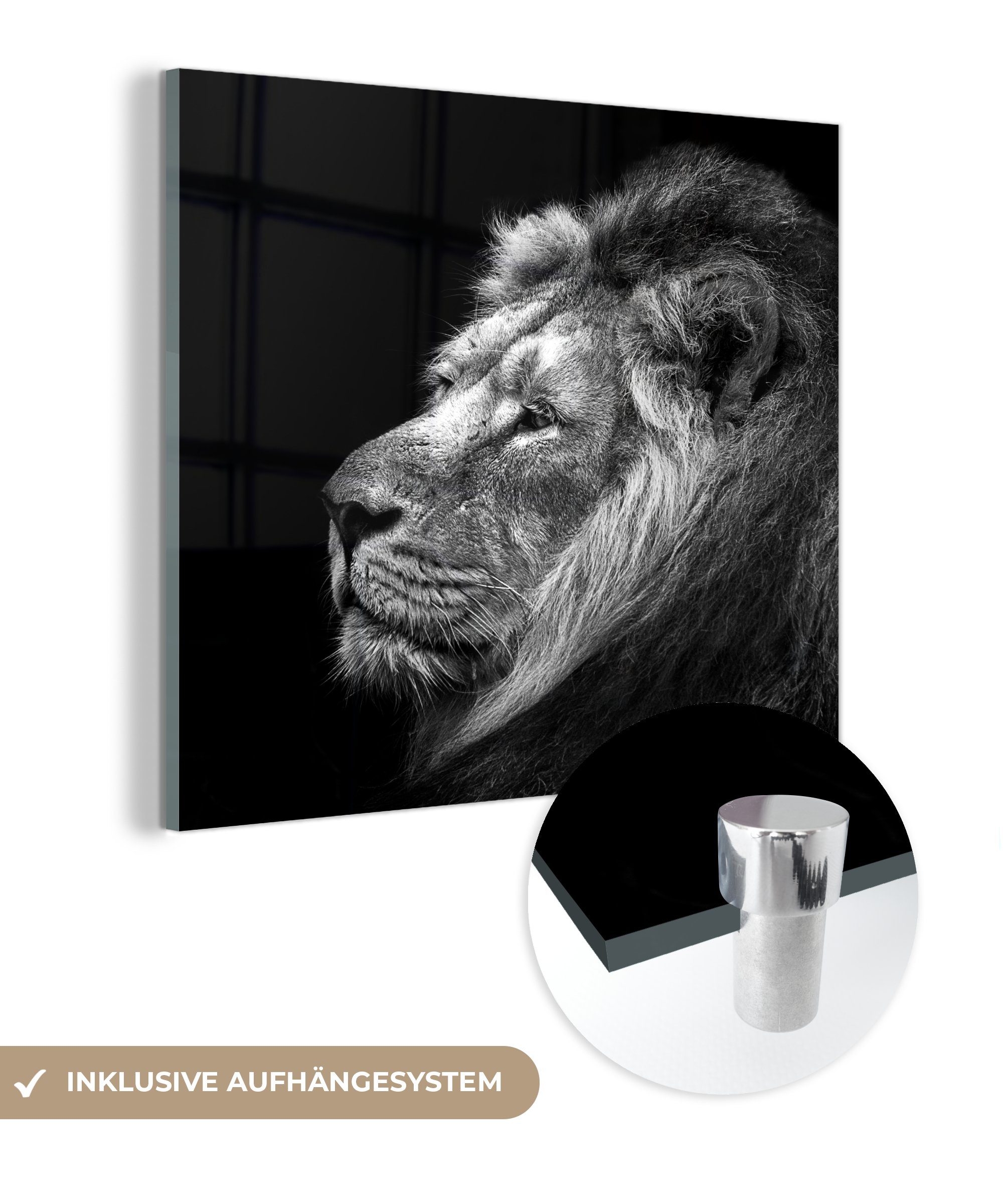 MuchoWow Acrylglasbild Löwe vor schwarz St), Wandbild Foto Glas Hintergrund und Bilder schwarzem auf - weiß, - (1 Glasbilder auf Glas - in Wanddekoration