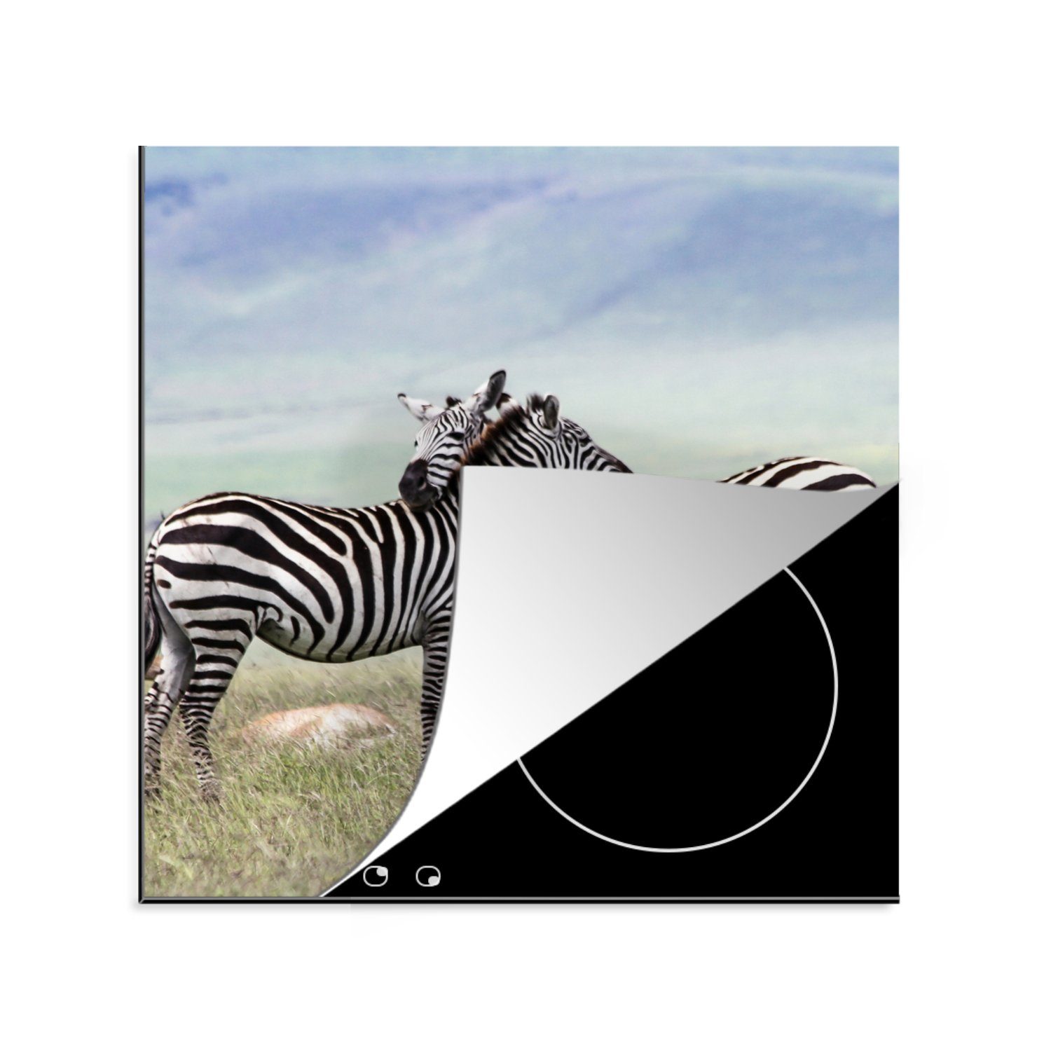MuchoWow Herdblende-/Abdeckplatte Zebra - Stofftier - Savannah, Vinyl, (1 tlg), 78x78 cm, Ceranfeldabdeckung, Arbeitsplatte für küche