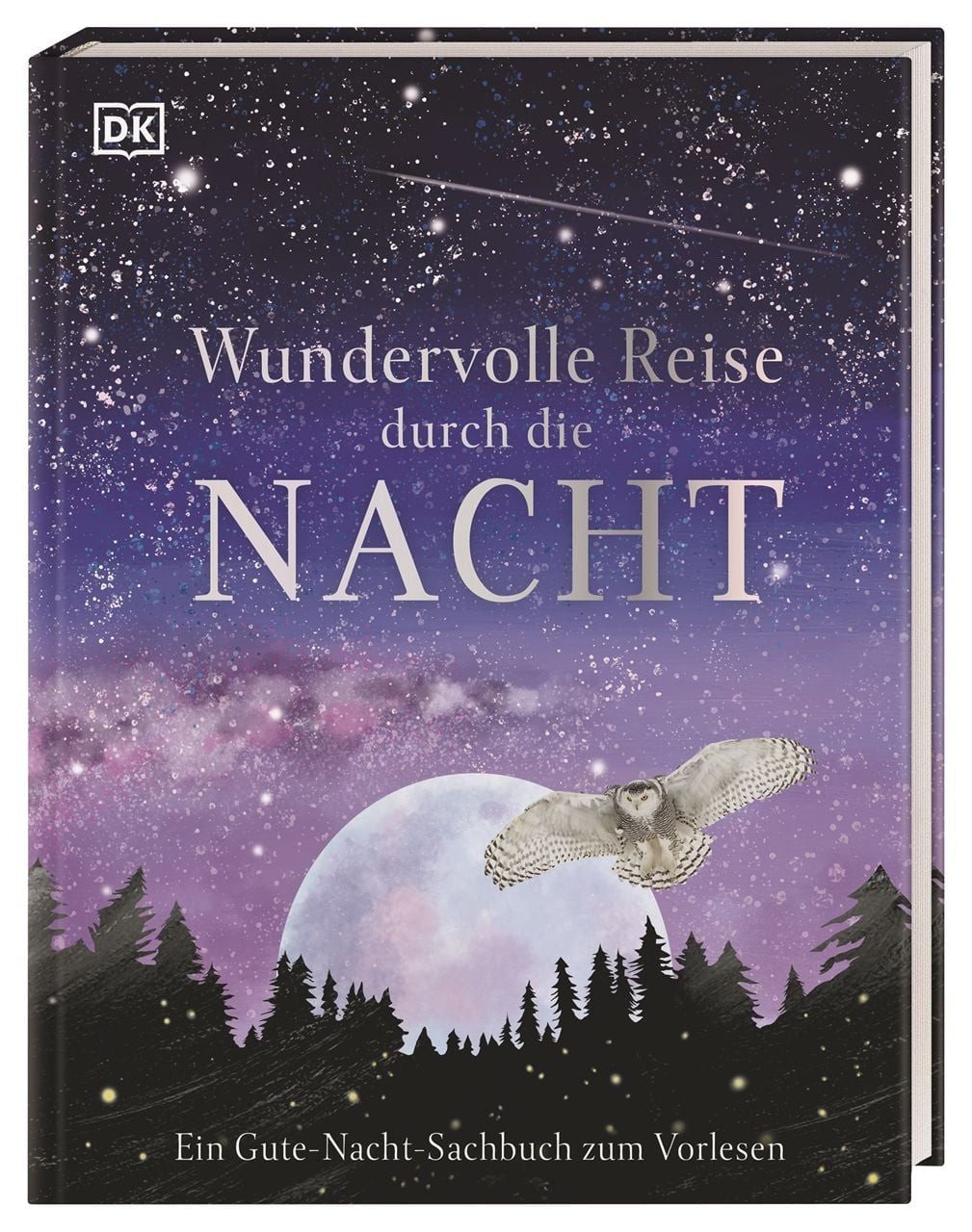 Wundervolle Reise durch die Nacht / Anita Ganeri, Ein Gute-Nacht-Sachbuch zum Vorlesen. Cover mit Silberfolie für Kinder ab 4 Jahren