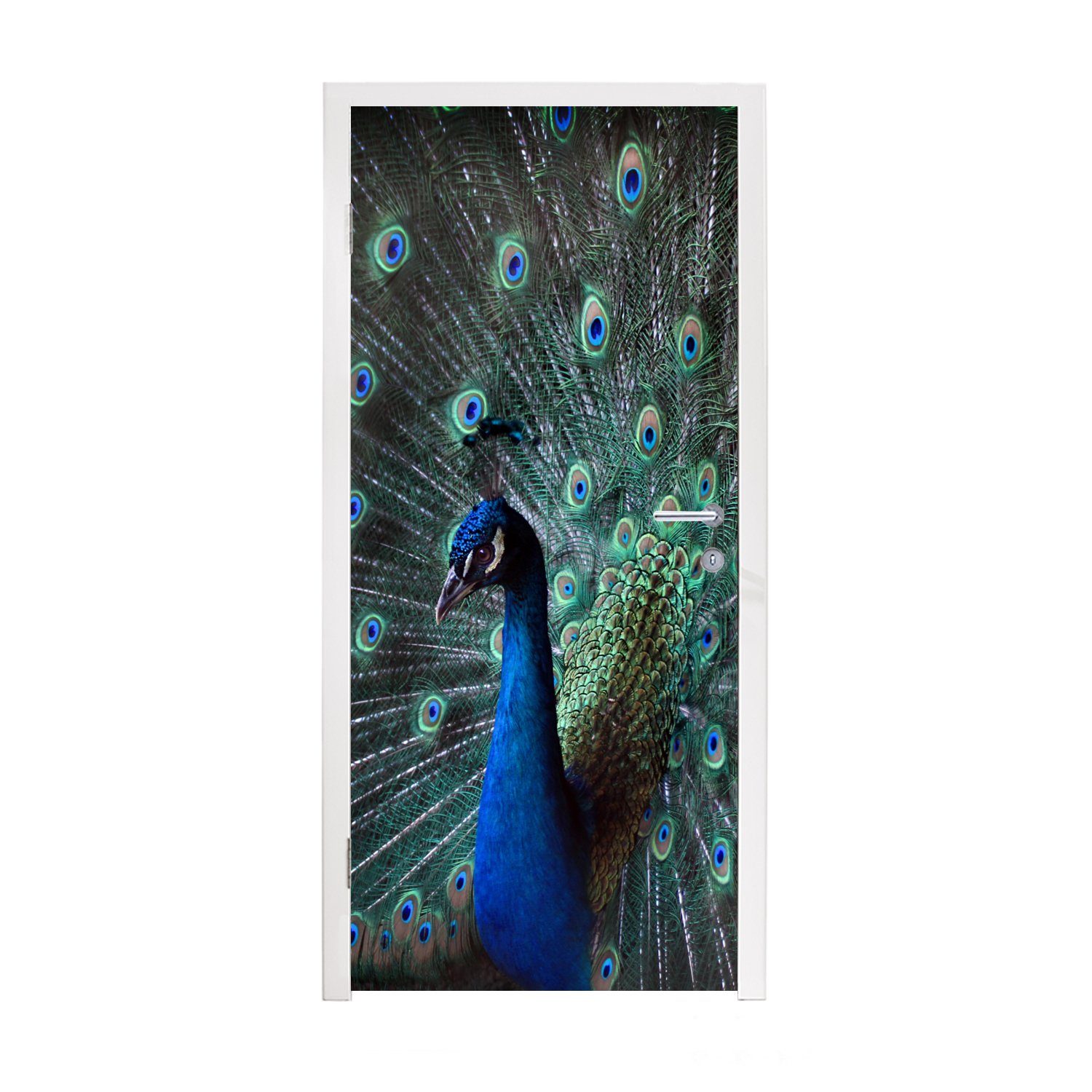 MuchoWow Türtapete Pfau - Federn - Farben, Matt, bedruckt, (1 St), Fototapete für Tür, Türaufkleber, 75x205 cm