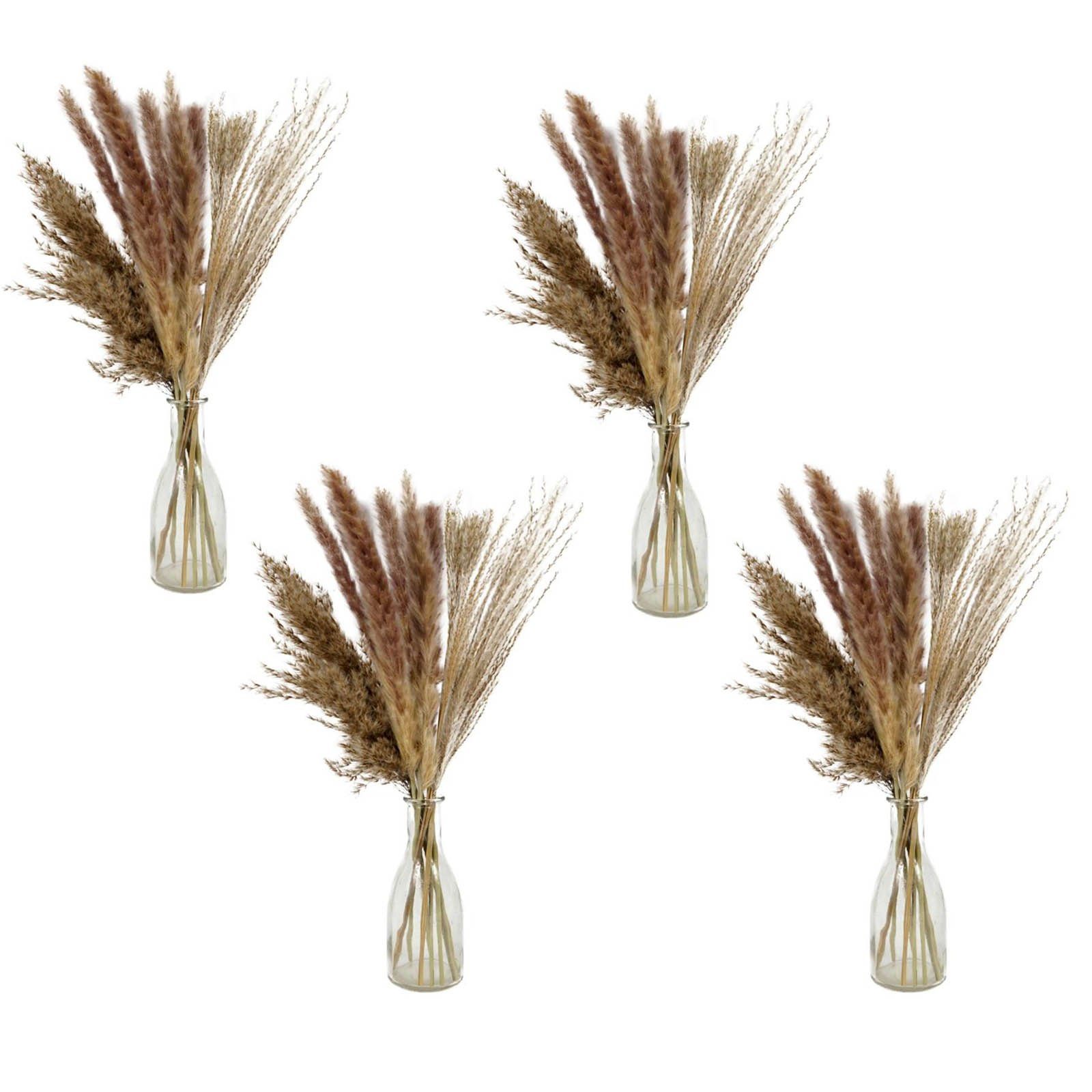 Trockenblume Deko Bündel Pampasgras Ziergras Pampas Gras, HAC24, Höhe 50 cm, Getrocknet in Glasvase