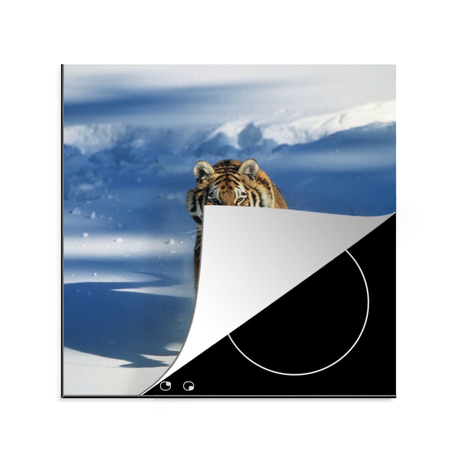 MuchoWow Herdblende-/Abdeckplatte Sibirischer Tiger in Aktion im Schnee, Vinyl, (1 tlg), 78x78 cm, Ceranfeldabdeckung, Arbeitsplatte für küche