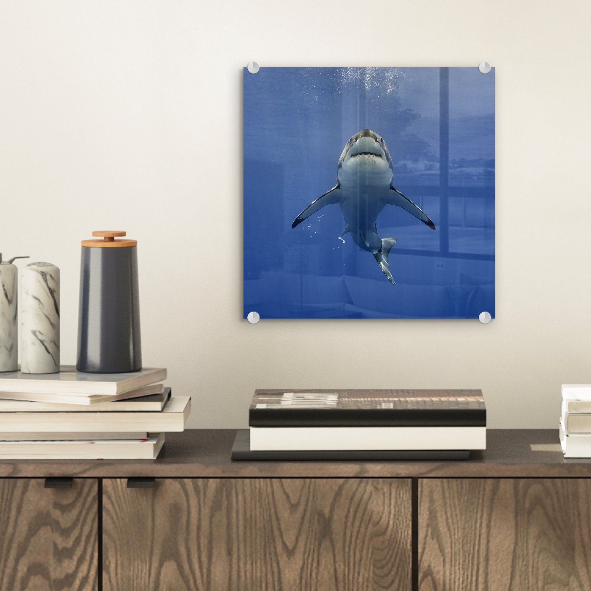 MuchoWow Acrylglasbild Weißer Hai schwimmt auf - die Wasseroberfläche Glas - auf auf Wanddekoration - Foto Glas Bilder zu, Glasbilder (1 Wandbild St)