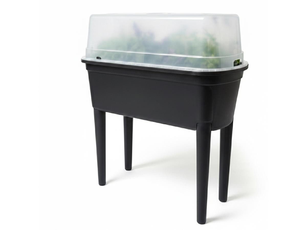 Prosperplast Hochbeet Bloomo (78 x 38 x 82 cm, inkl. Beine und Deckel), Pflanzbeet Gemüsebeet für Garten & Terrasse