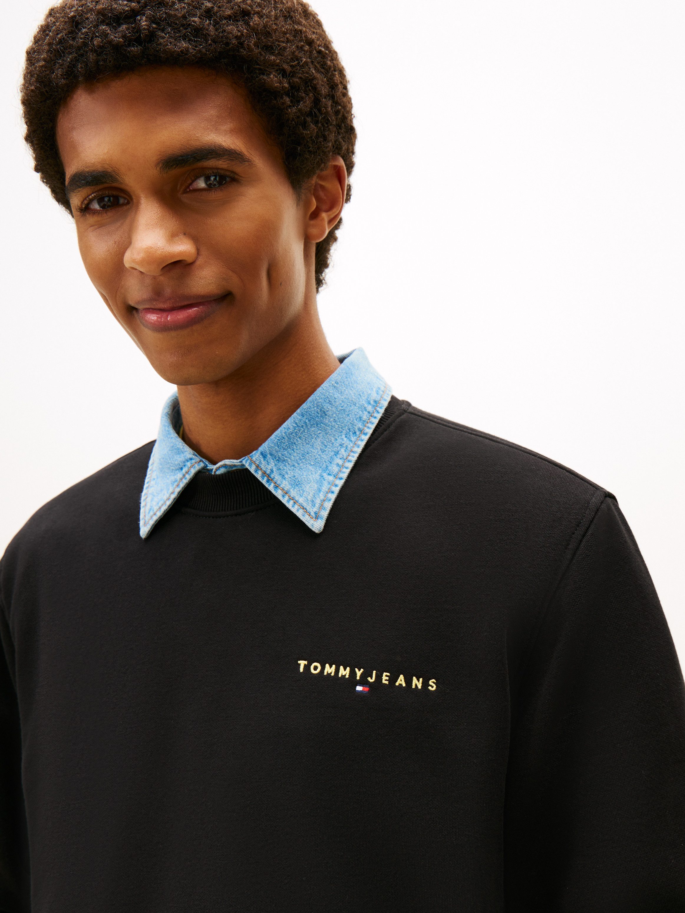 Tommy Jeans Sweatshirt TJM REG LINEAR günstig online kaufen