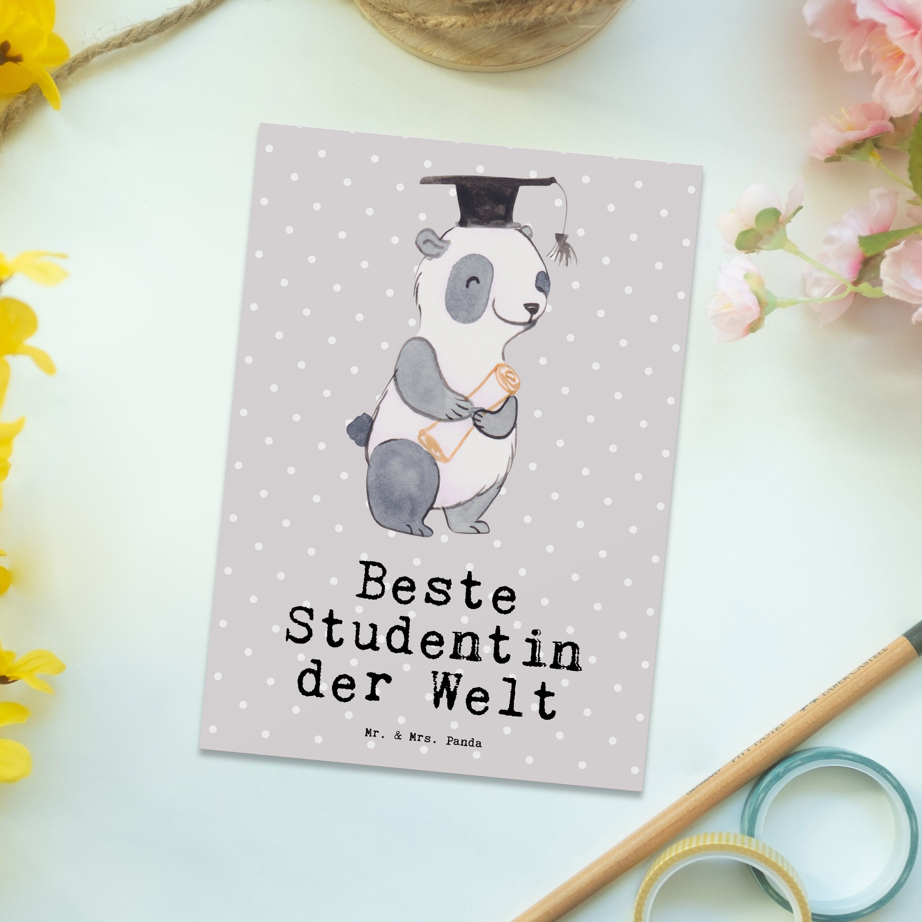 Geschenk, Mr. der - Einl Grau Mrs. Studentin Postkarte Panda Panda - & Karte, Pastell Welt Beste