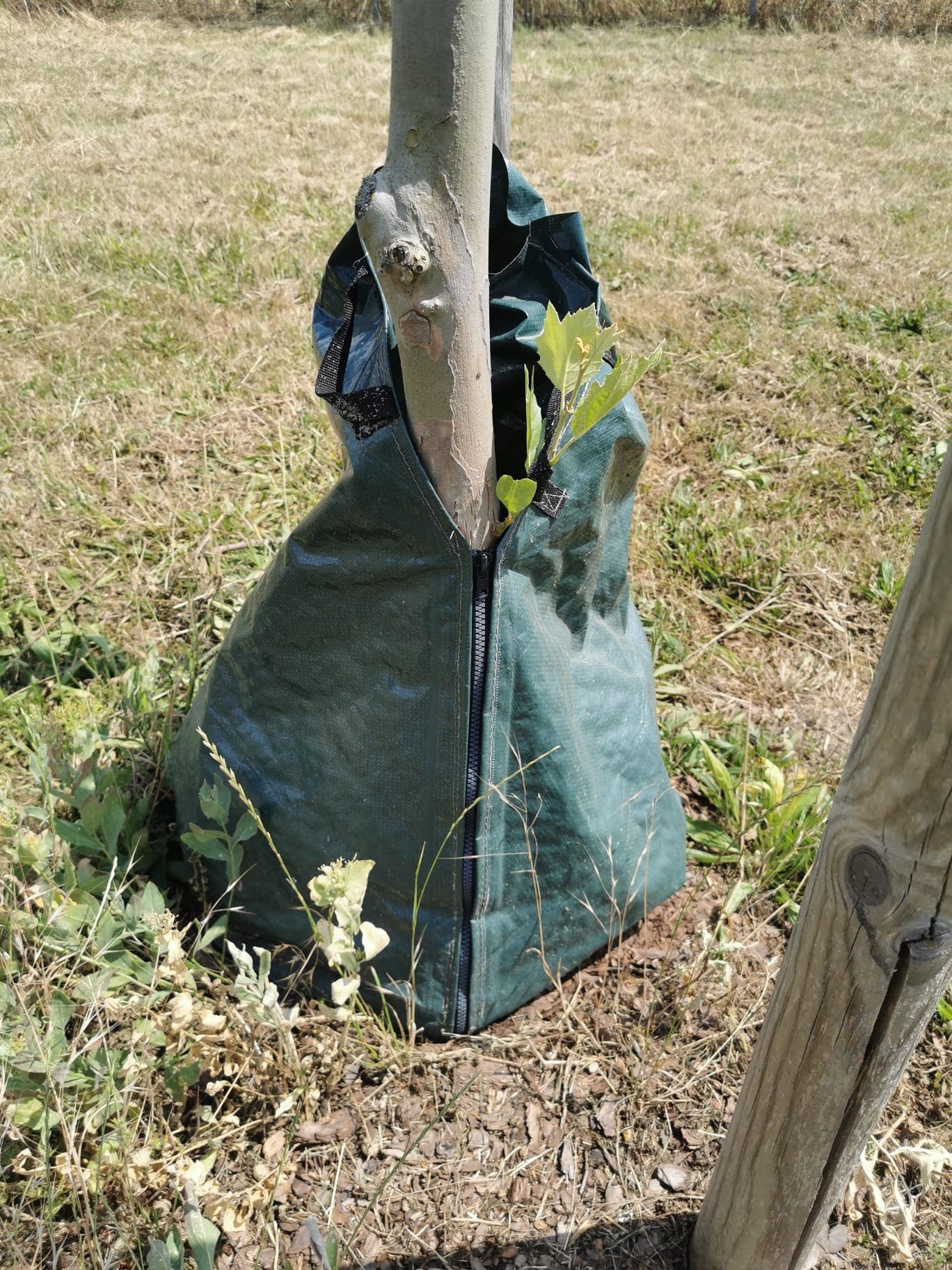 Bewässerungssystem Baum Bewässerungssack 75 Liter