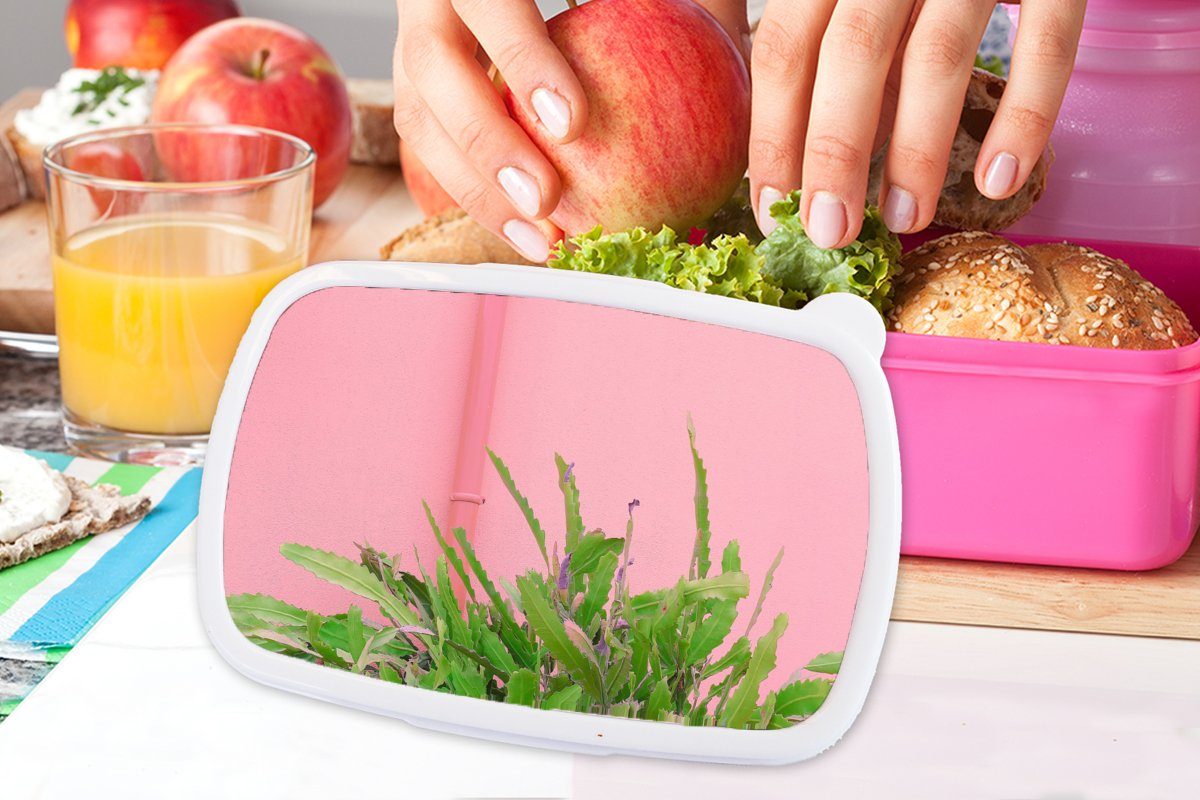Brotbox - Mädchen, Kinder, Erwachsene, Kunststoff, Snackbox, für MuchoWow Pflanze Kunststoff - (2-tlg), Sommer Rosa, Brotdose Lunchbox