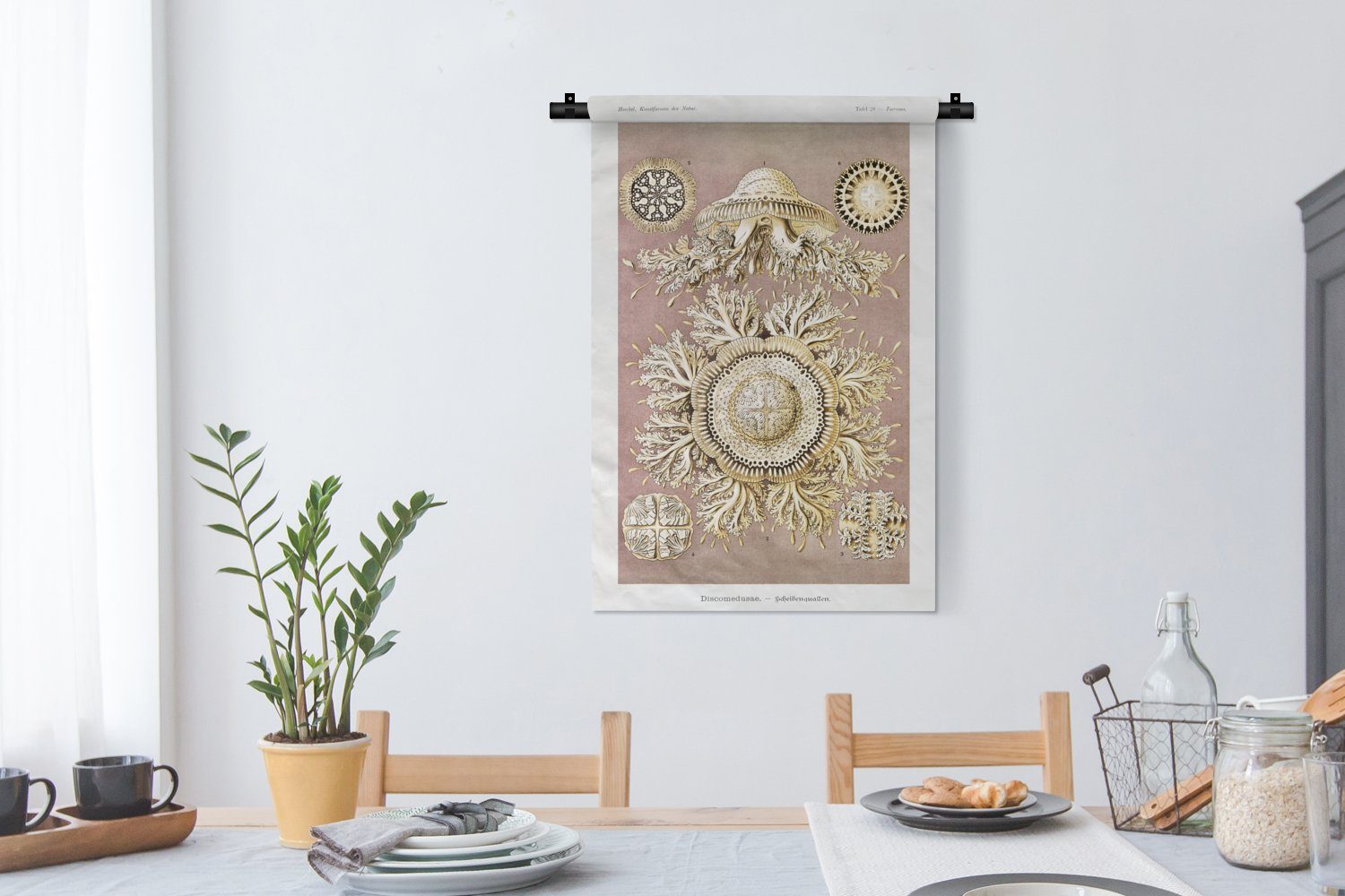 Wohnzimmer, Wandbehang, - für MuchoWow Ernst Kinderzimmer - Qualle Wanddeko Kleid, Haeckel Kunst, Jahrgang - Schlafzimmer, Wanddekoobjekt