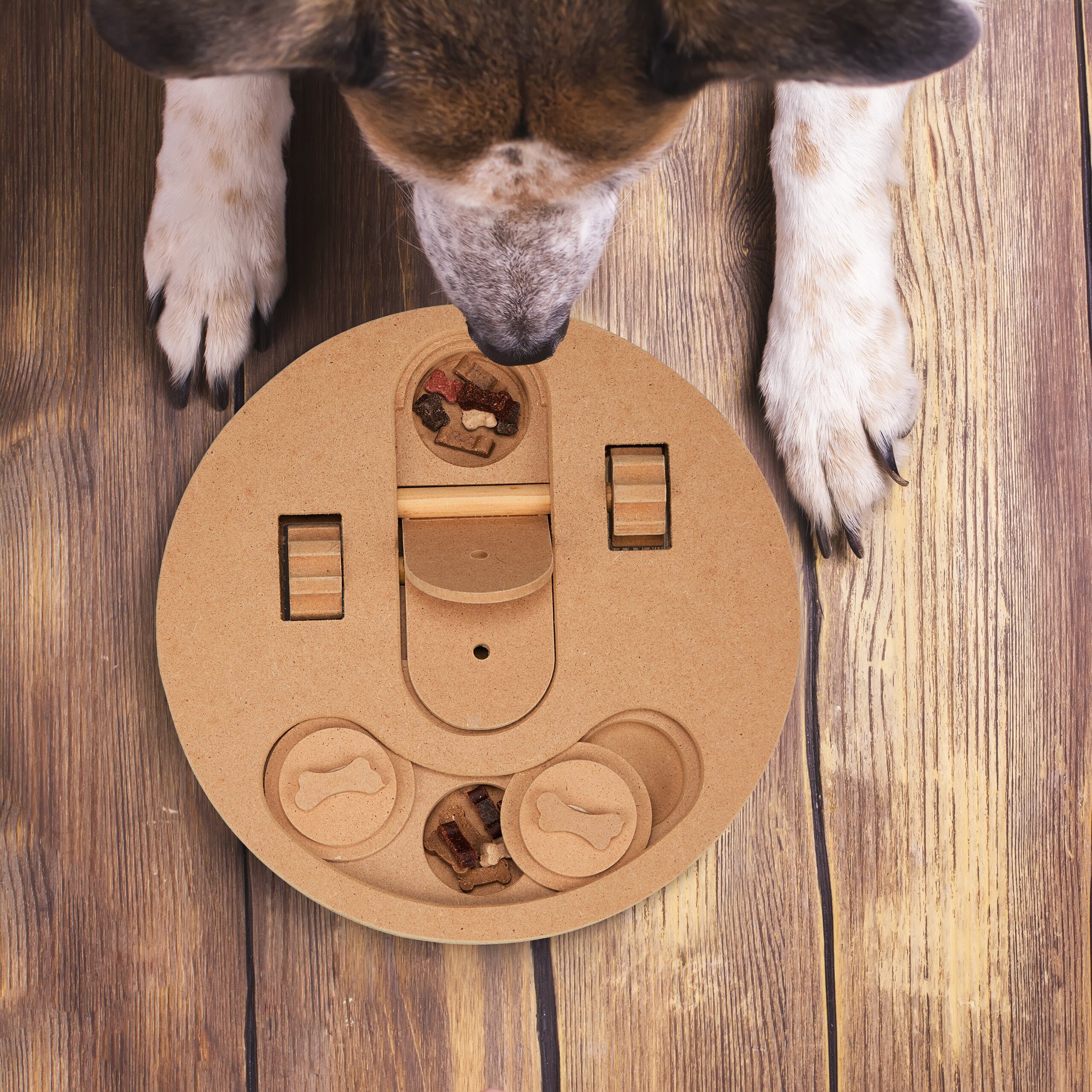 relaxdays Tier-Intelligenzspielzeug Intelligenzspielzeug für Hunde, Faserpl günstig online kaufen