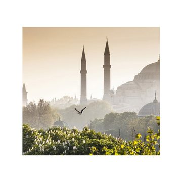 liwwing Fototapete Fototapete Istanbul Türkei Moschee Natur Nebel liwwing no. 250, Türkei