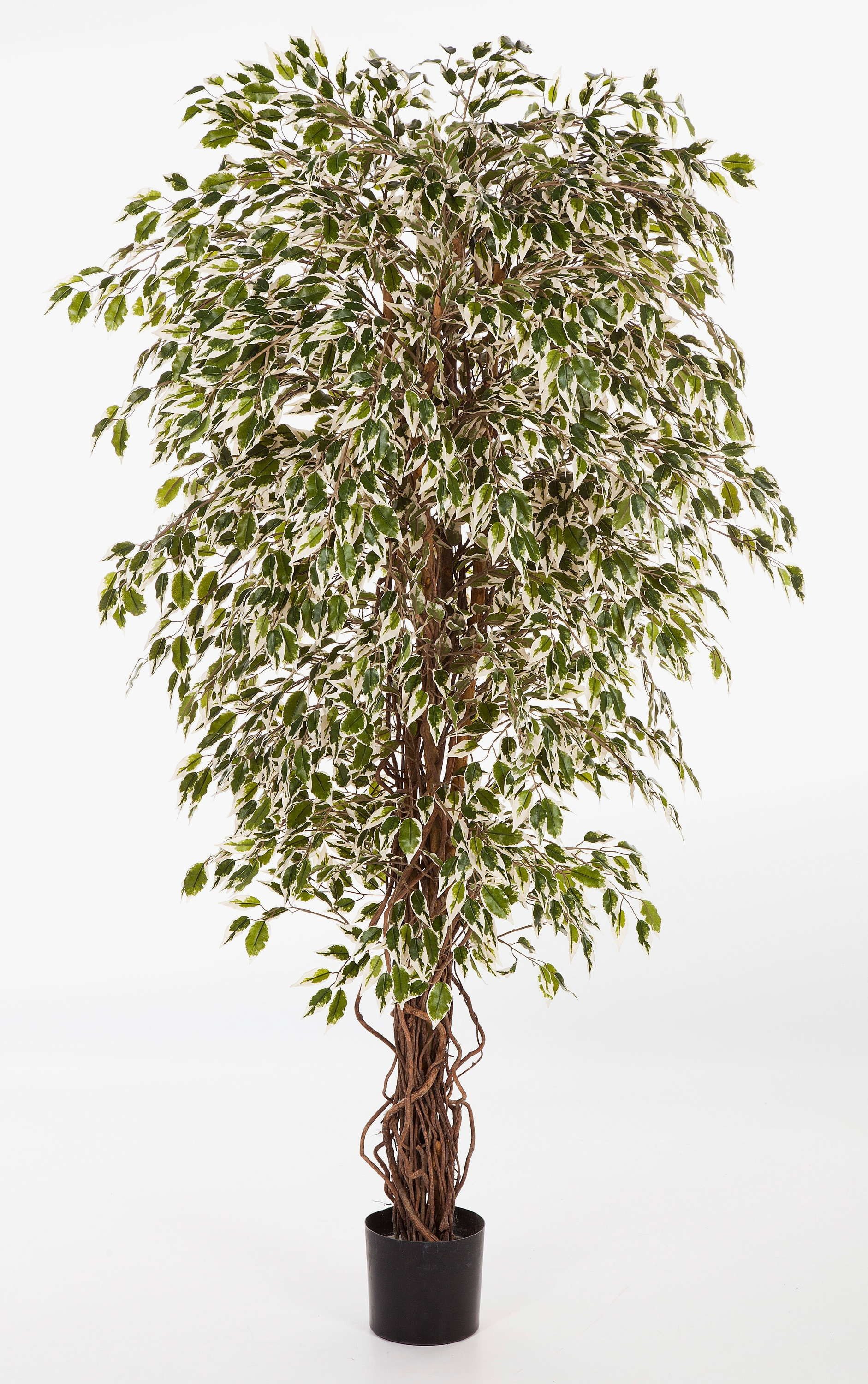 Kunstbaum Deko Ficus DAKU