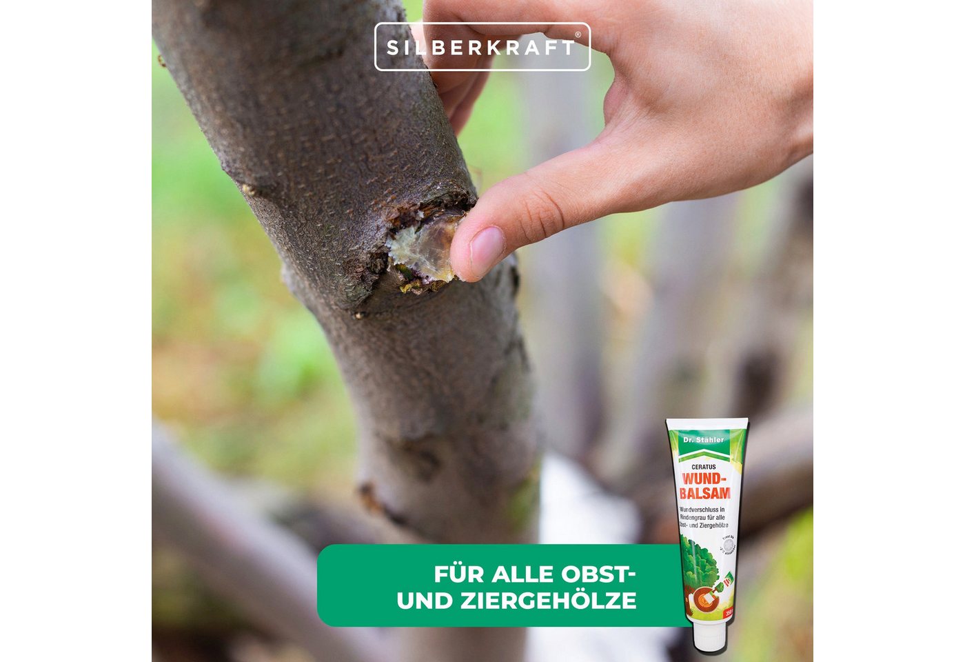Thumbnail - Silberkraft Baum-Wundverschluss Ceratus Wundbalsam – Mittel zur Wundversorgung für Bäume, 1000 g, Zuverlässiger Schutz v...