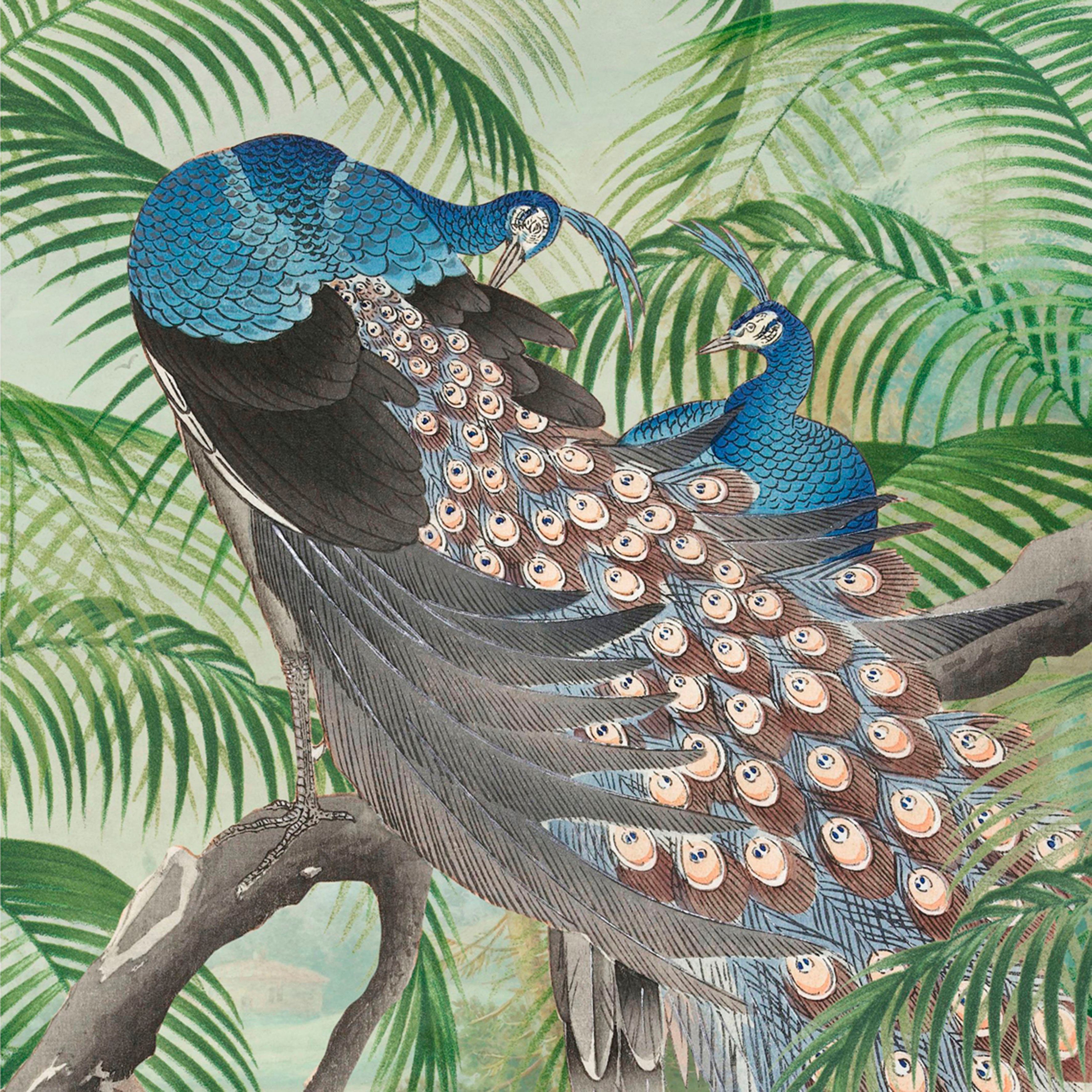 Art for the home Fototapete Peacock, animal print, (1 St), 280x200cm