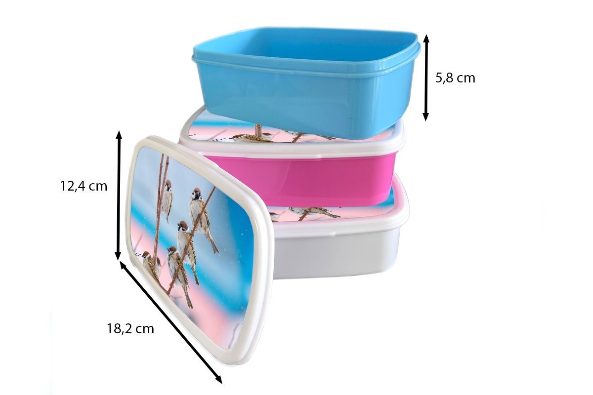 - Kinder und Mädchen Spatz - Vögel Äste, weiß - Jungs Tiere Lunchbox Brotbox für Brotdose, und MuchoWow Erwachsene, Kunststoff, (2-tlg), für