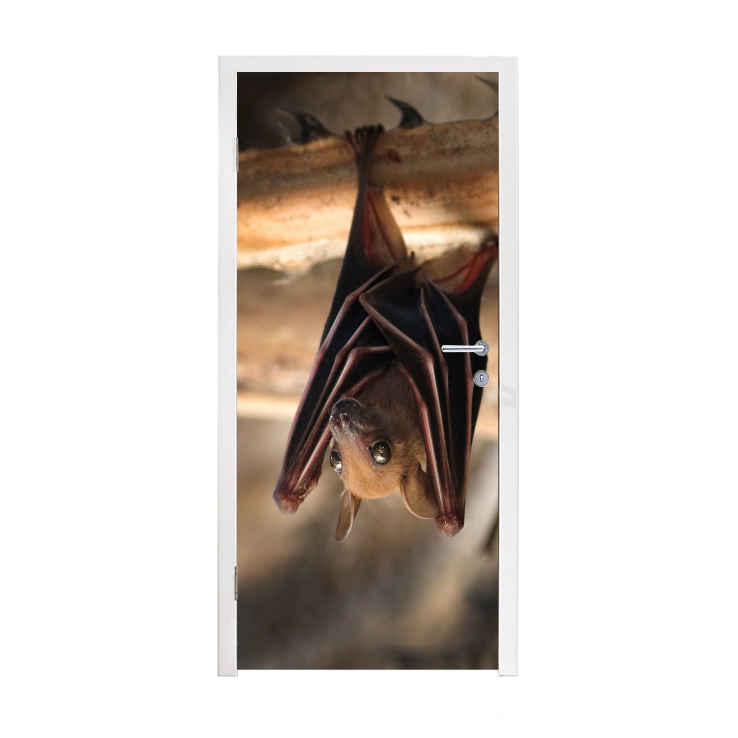 MuchoWow Türtapete Baby - Fledermaus - Holz, Matt, bedruckt, (1 St), Fototapete für Tür, Türaufkleber, 75x205 cm