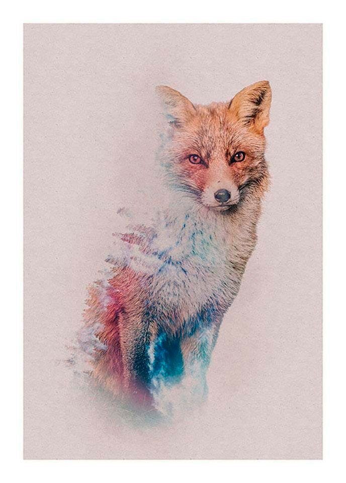 Komar Bild Animals Forest Fox, Tiere (1 St), Wandbild zur Dekoration - ohne Rahmen