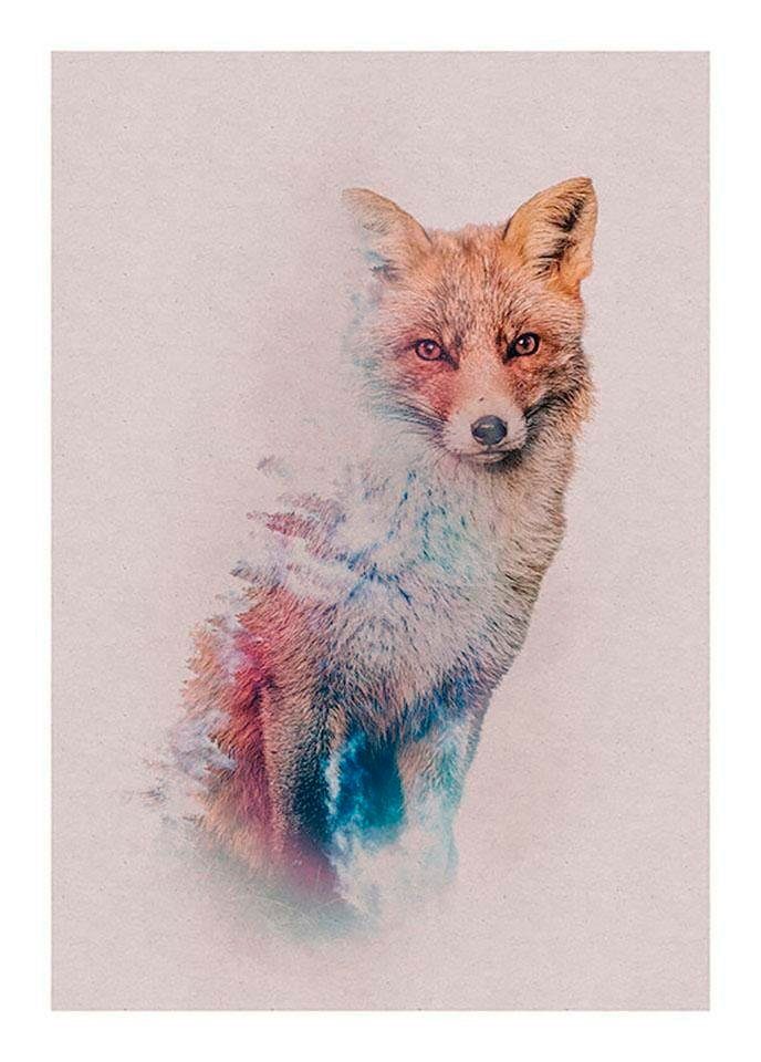 Forest Fox, Animals Wohnzimmer Schlafzimmer, (1 Kinderzimmer, St), Komar Poster Tiere