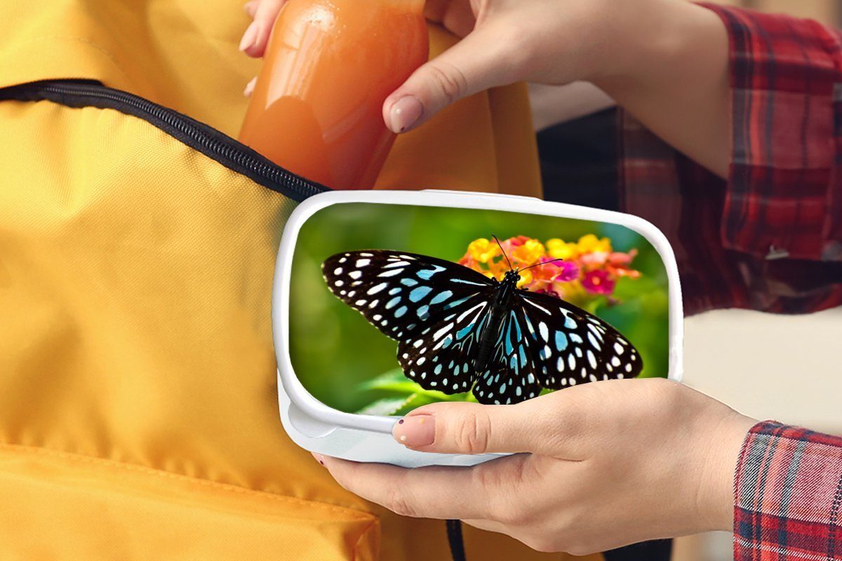 MuchoWow Lunchbox weiß (2-tlg), Mädchen Kinder Brotdose, Erwachsene, für und für Tigerfalter, Blauer Jungs Kunststoff, Brotbox und