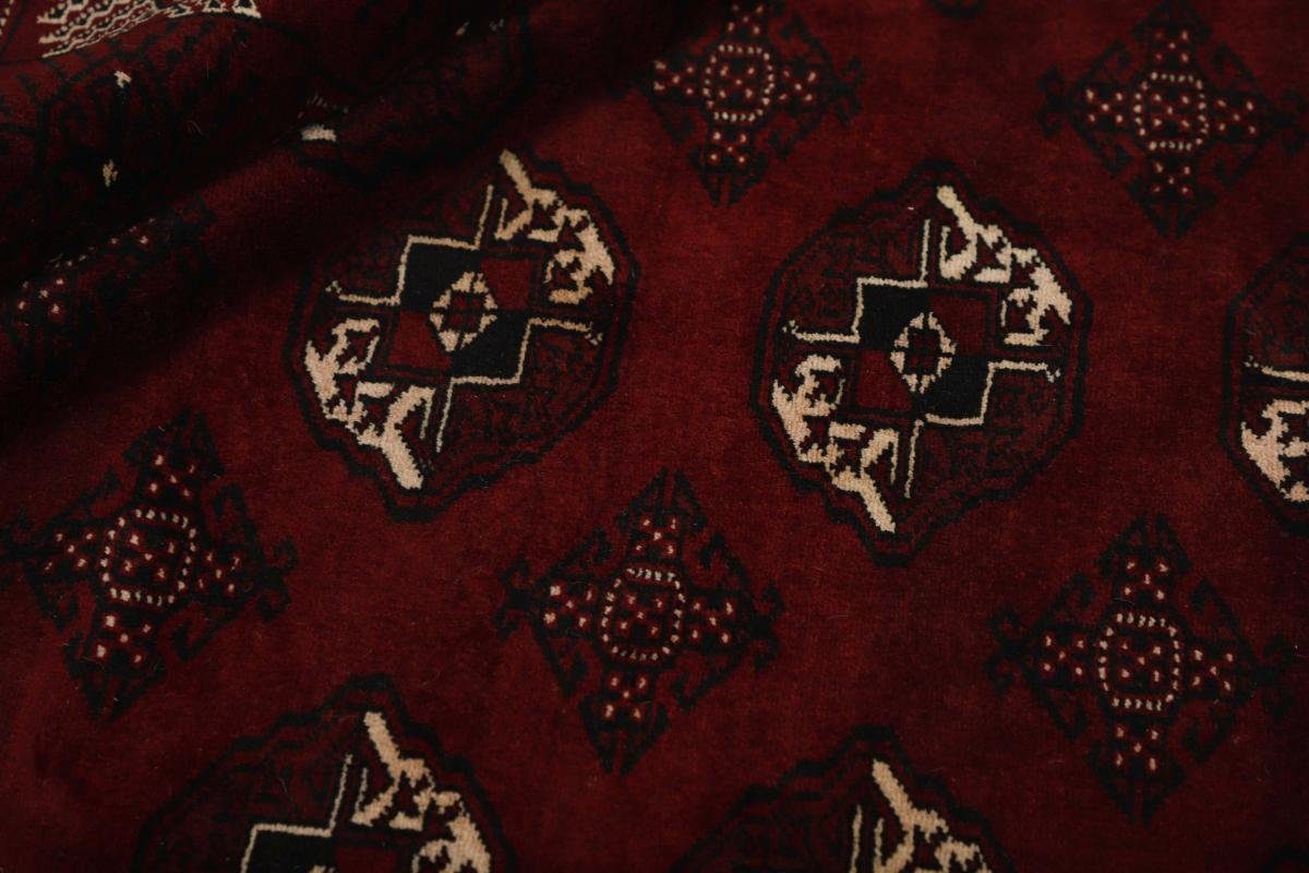 Orientteppich Turkaman 262x371 Handgeknüpfter Orientteppich 6 Höhe: / Perserteppich, Nain rechteckig, Trading, mm