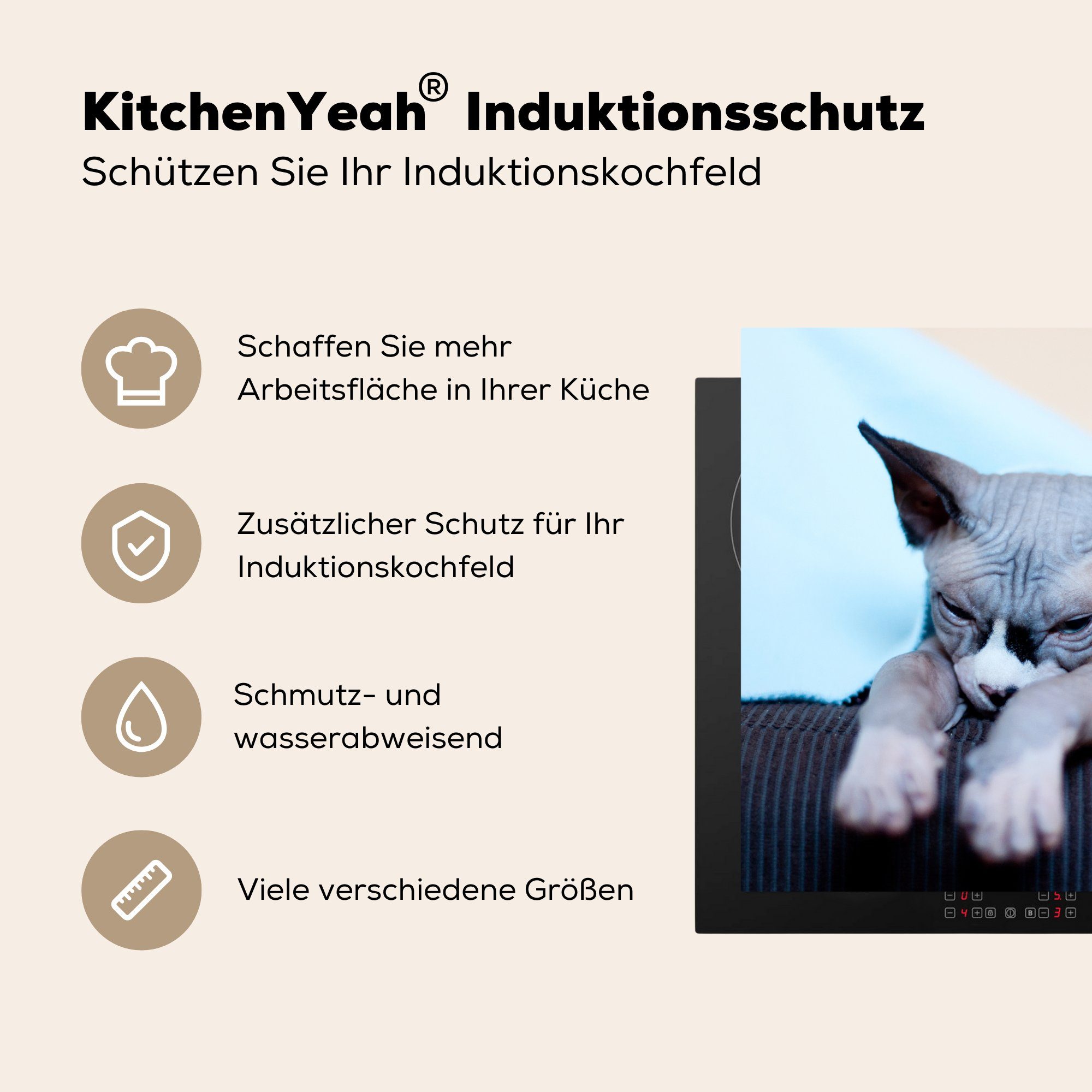 Vinyl, 78x78 Sofa, Sphynx-Katze MuchoWow Eine tlg), (1 küche schläfrige Herdblende-/Abdeckplatte Ceranfeldabdeckung, für dem cm, Arbeitsplatte auf