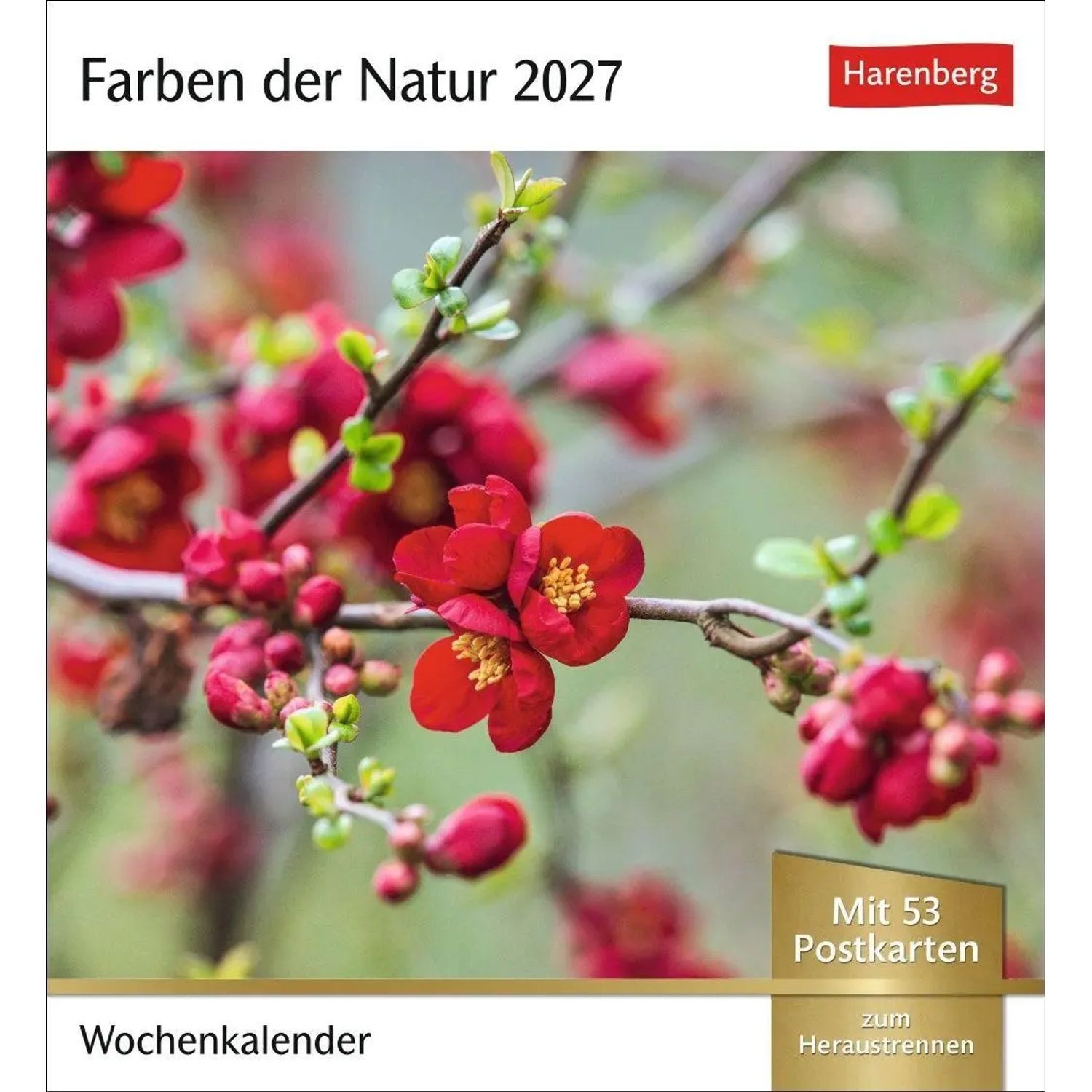 Harenberg Kalender Verlag Wandkalender Farben der Natur Postkartenkalender 2027 - Wochenkalender mit 53...