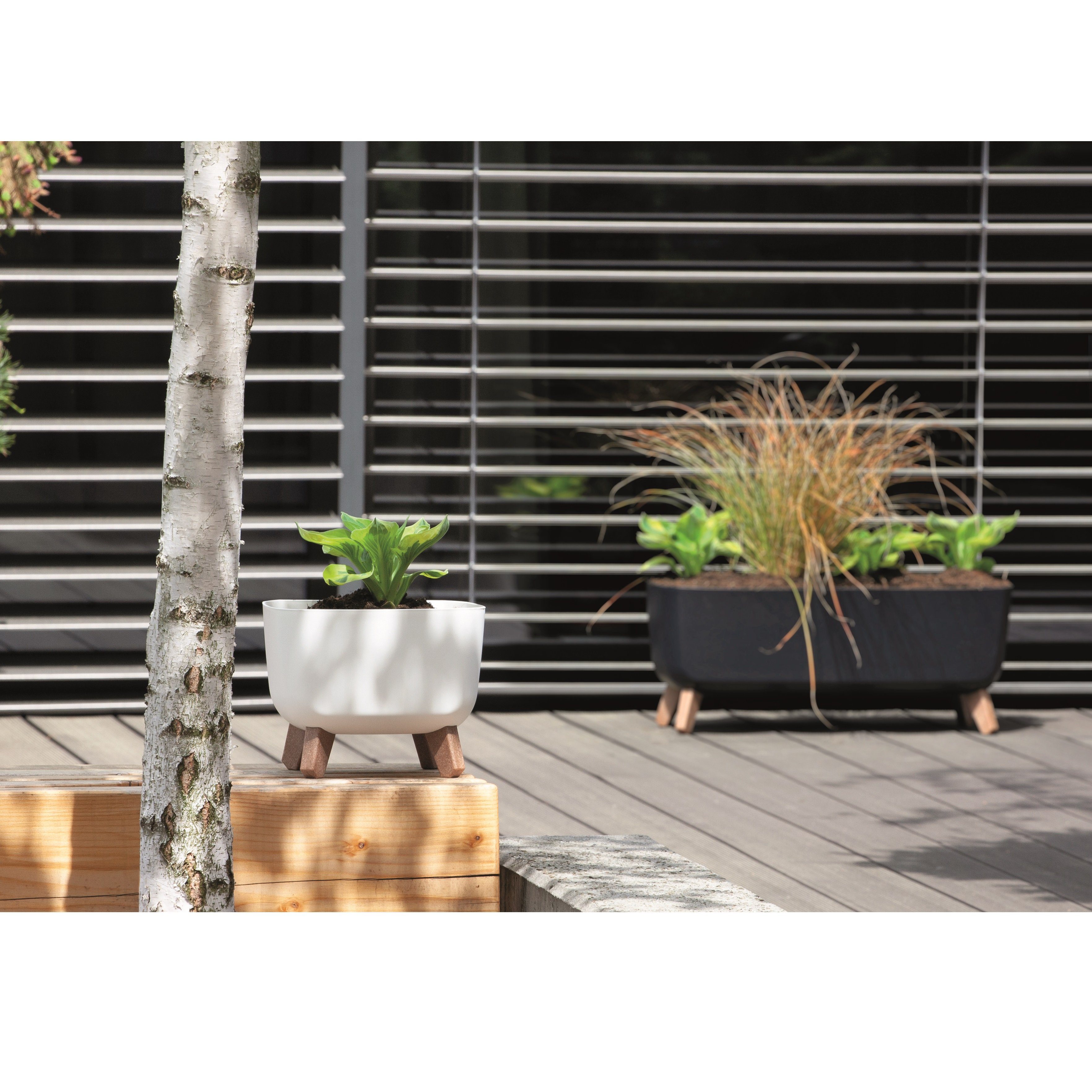 Prosperplast Blumentopf, Gracia Square mit abnehmbaren günstig online kaufen