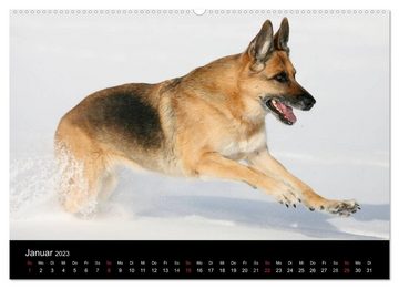 CALVENDO Wandkalender Mit dem Deutschen Schäferhund durch's Jahr (Premium, hochwertiger DIN A2 Wandkalender 2023, Kunstdruck in Hochglanz)