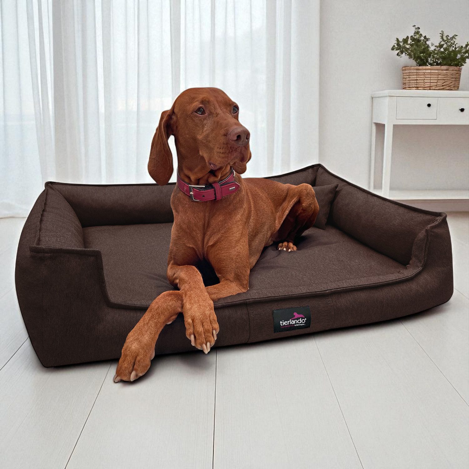 tierlando® Tierbett Orthopädisches Hundebett GUSTAV SCANDI günstig online kaufen