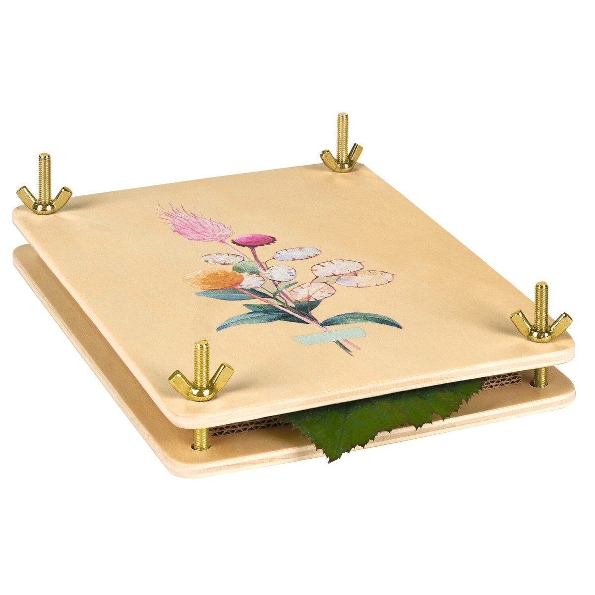 Moses. Verlag Lernspielzeug Blatt- & Blütenpresse aus Holz zum Trocknen & Basteln