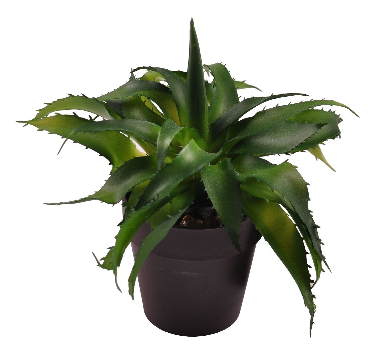 Dek, BURI Zimmerpflanze Kunstpflanze Kunstpflanze Blumentopf 18cm Künstliche im Aloe Vera