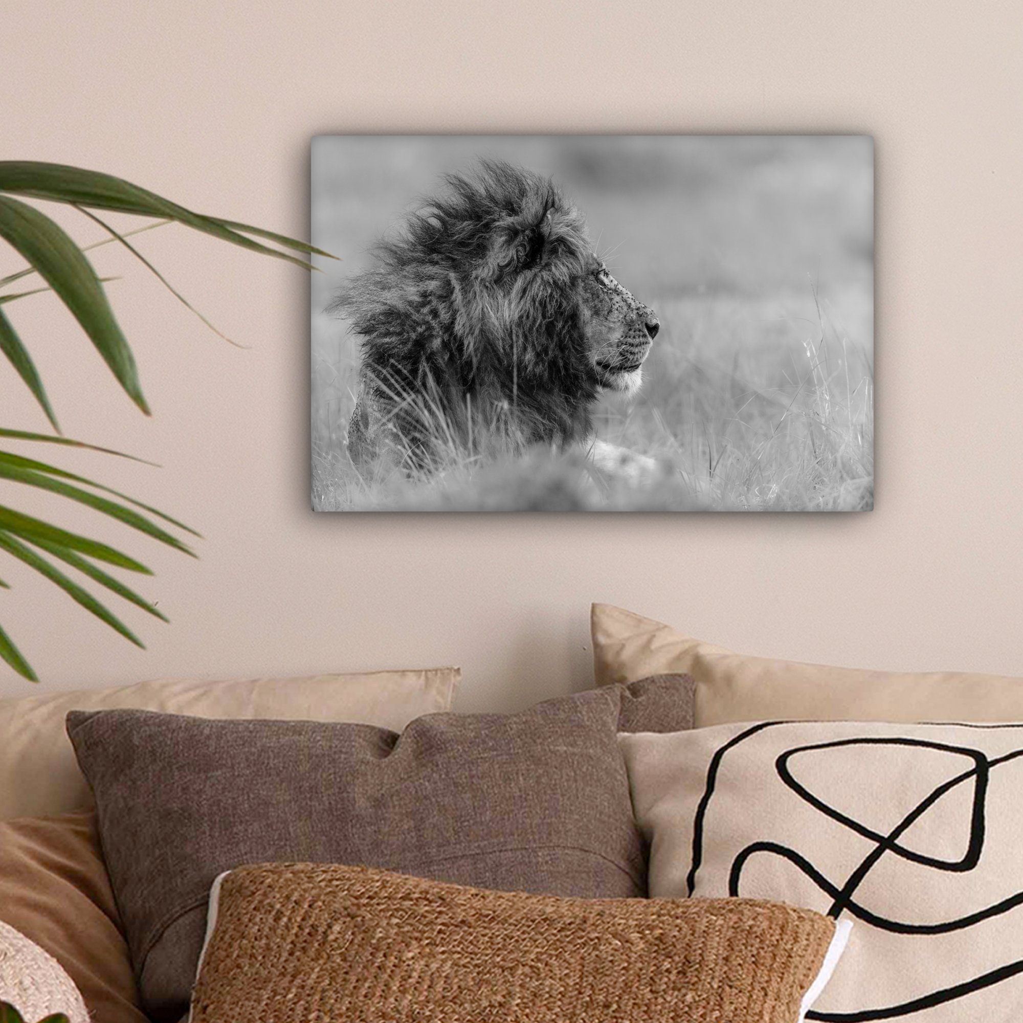 OneMillionCanvasses® Leinwandbild Löwe - Tiere - Wandbild St), cm - Schwarz Weiß 30x20 Aufhängefertig, Wanddeko, (1 Natur, Leinwandbilder, 