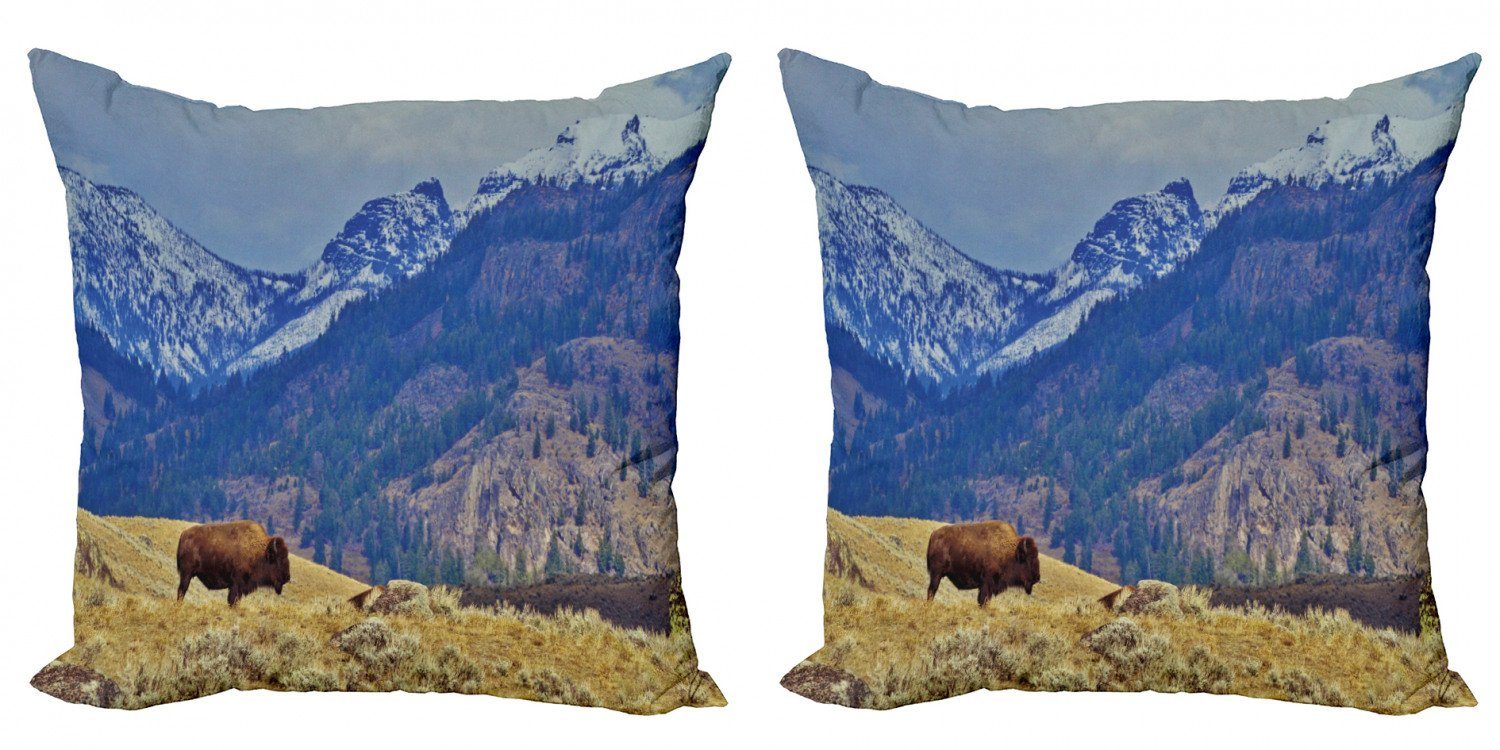 (2 Snowy Doppelseitiger Kissenbezüge Modern Digitaldruck, Wyoming Abakuhaus Bison Accent Stück), und Mountains