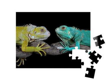 puzzleYOU Puzzle Blauer Leguan: Grand Cayman Blue Iguanas, 48 Puzzleteile, puzzleYOU-Kollektionen Leguane, Tiere in Dschungel & Regenwald