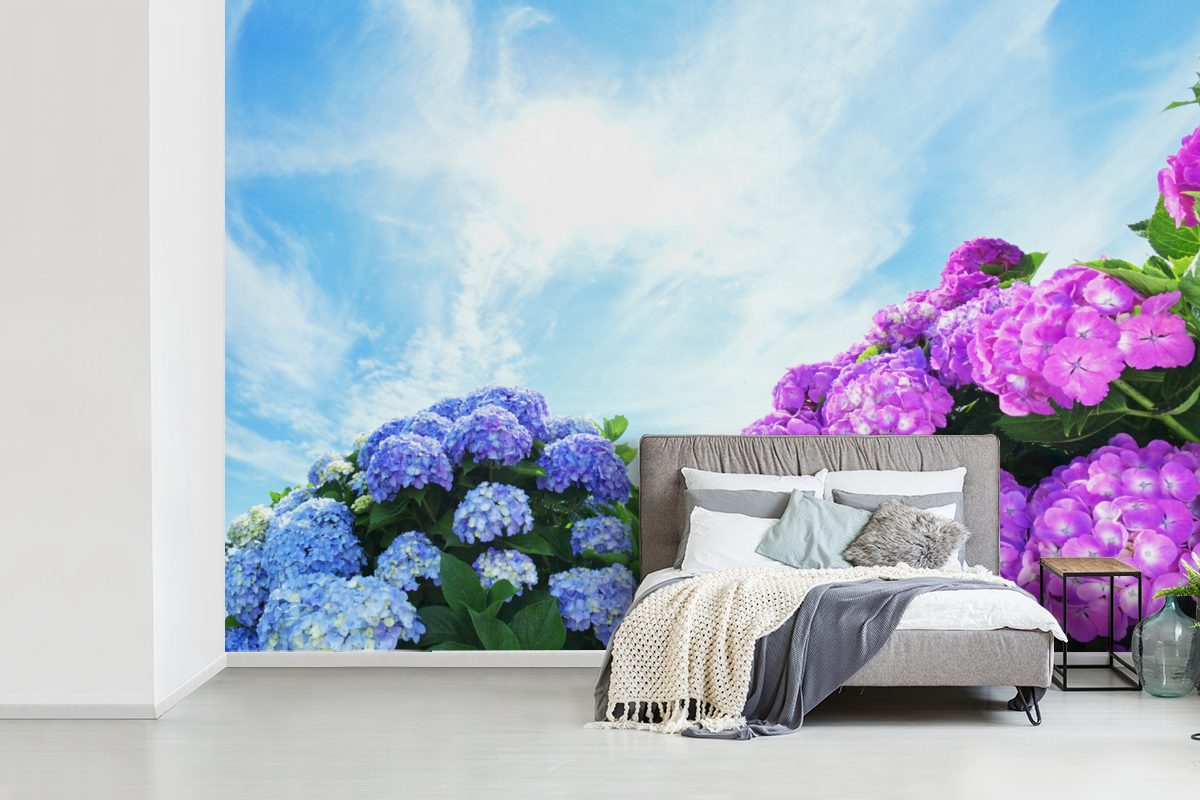Himmel, (6 Wohnzimmer, Fototapete Wallpaper blauen Matt, Schlafzimmer, St), für bedruckt, für MuchoWow Hortensie Kinderzimmer, Tapete Vinyl