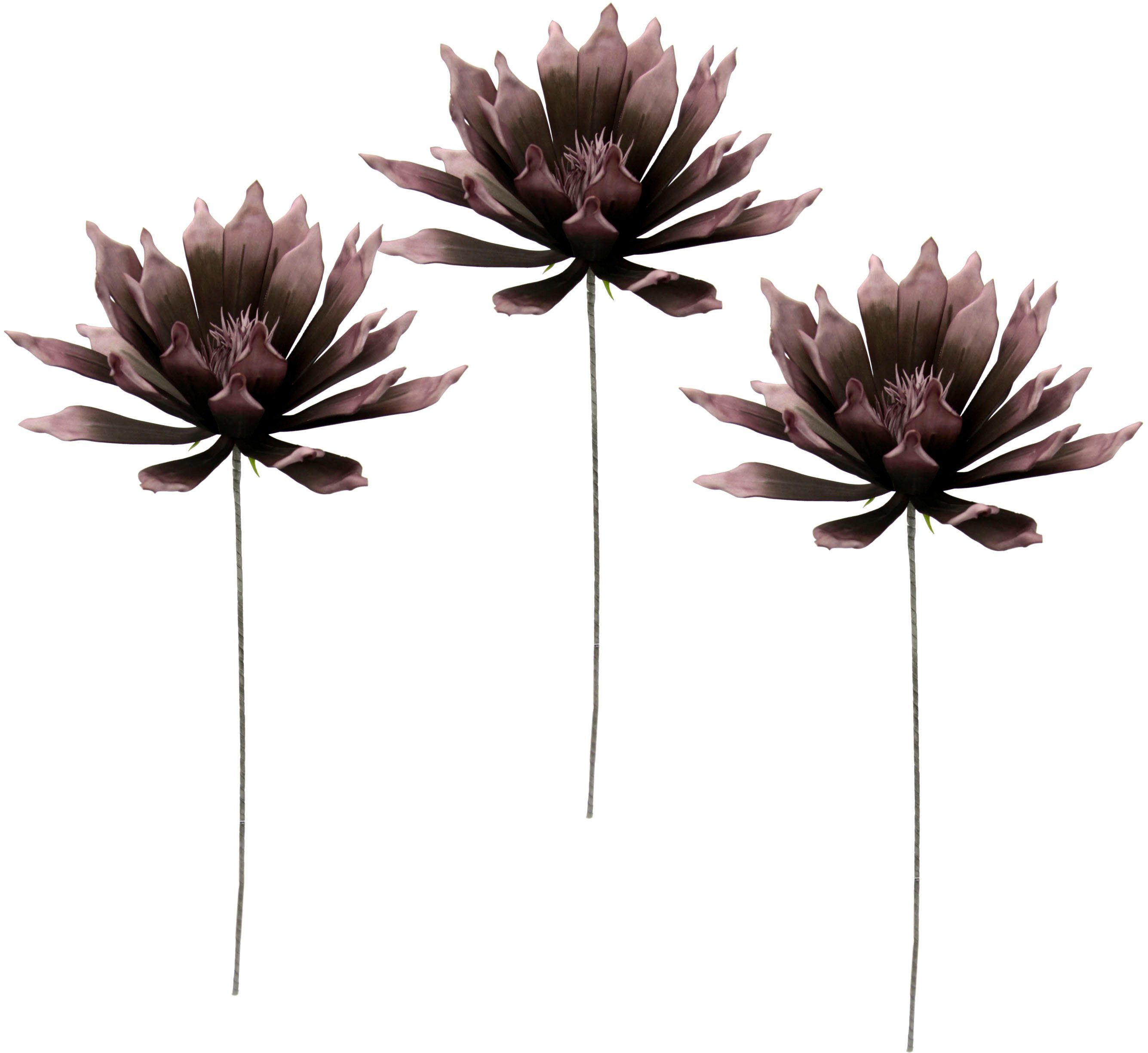 [Normaler Versandhandel im Laden] Kunstblume Soft-Protea, I.GE.A., Höhe 84 cm, Set burgunder 3er