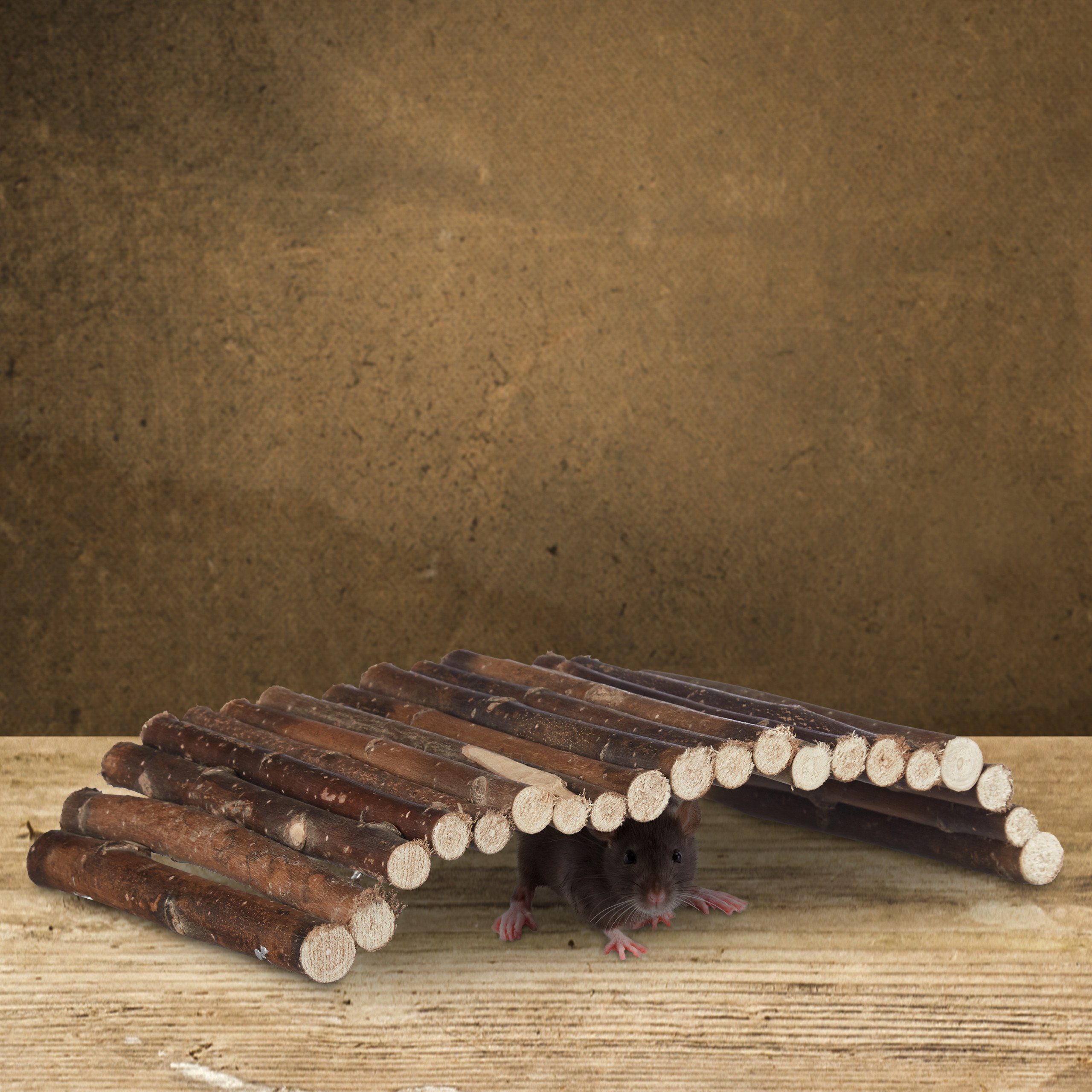relaxdays Kleintiertunnel Nagerbrücke Holz für Kleintiere, Holz