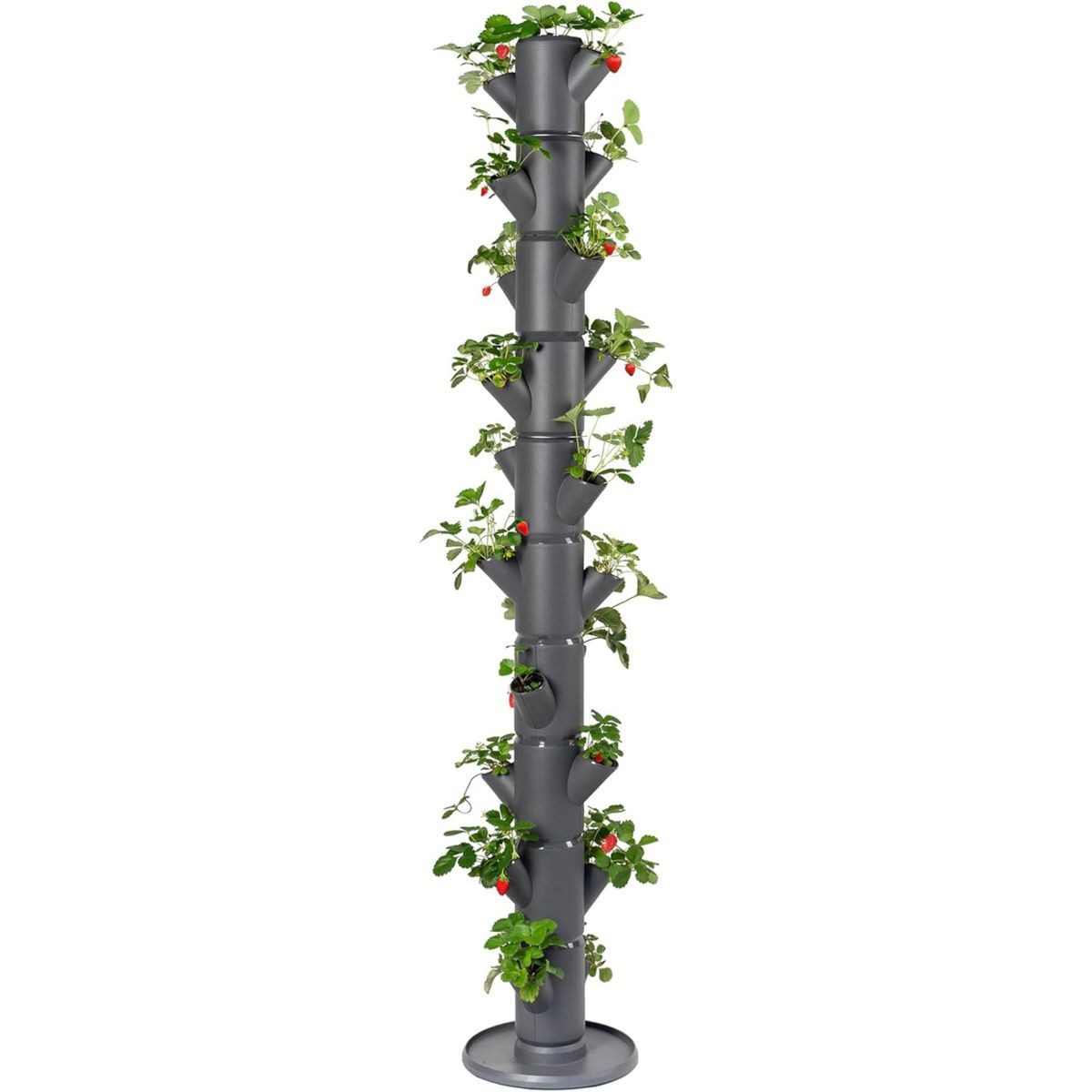 Gusta Garden Hochbeet SISSI STRAWBERRY infinity (inkl. Wasserauslaufschutz & Wasserleitsystem), Erdbeerbaum mit 10 Etagen, anthrazit
