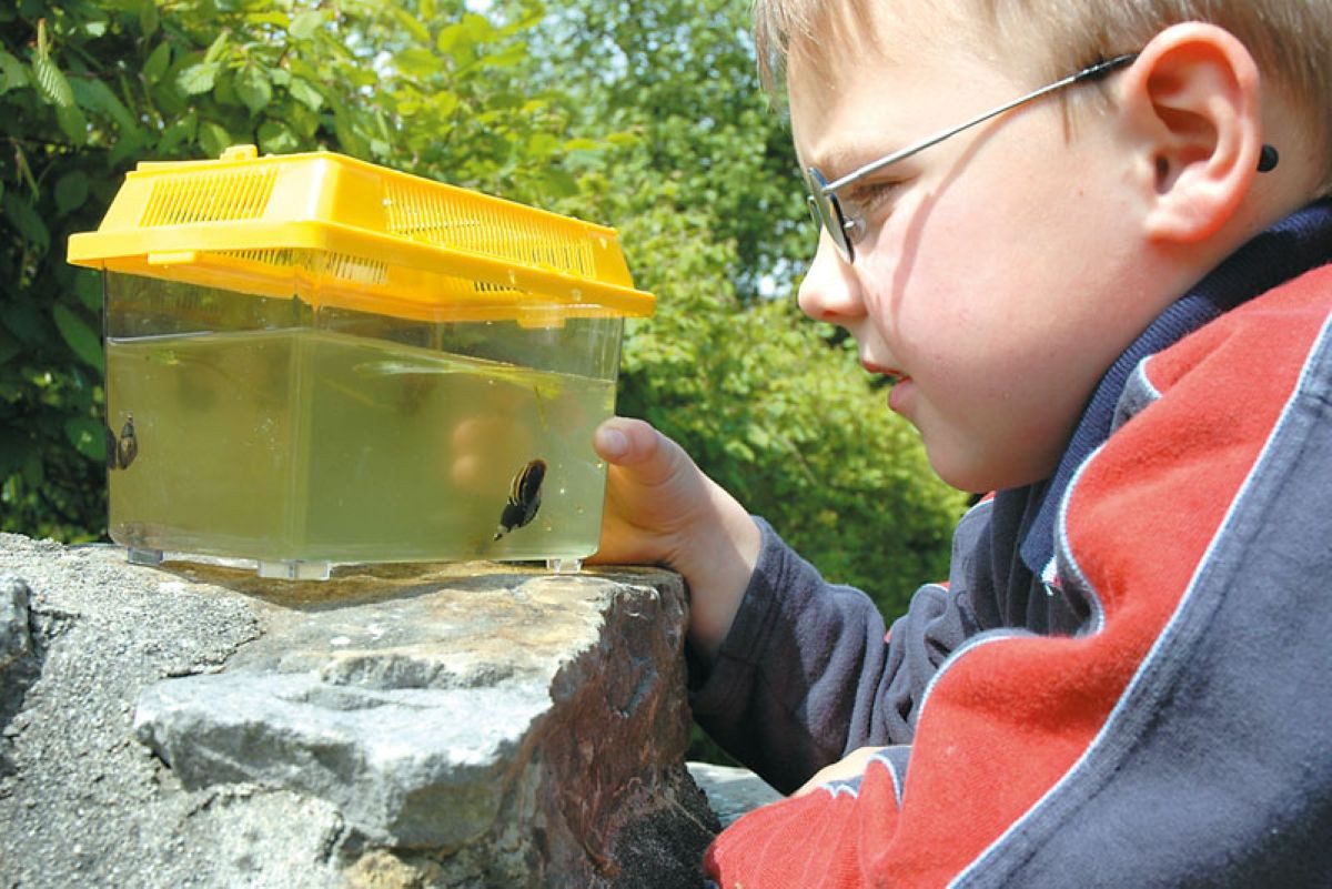 CHiLA Spielzeug-Gartenset Insektenbehälter, (1-tlg)