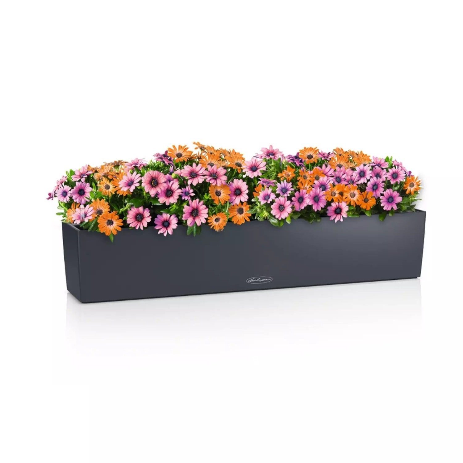 Lechuza® Balkonkasten Balconera Color 100 schiefergrau günstig online kaufen