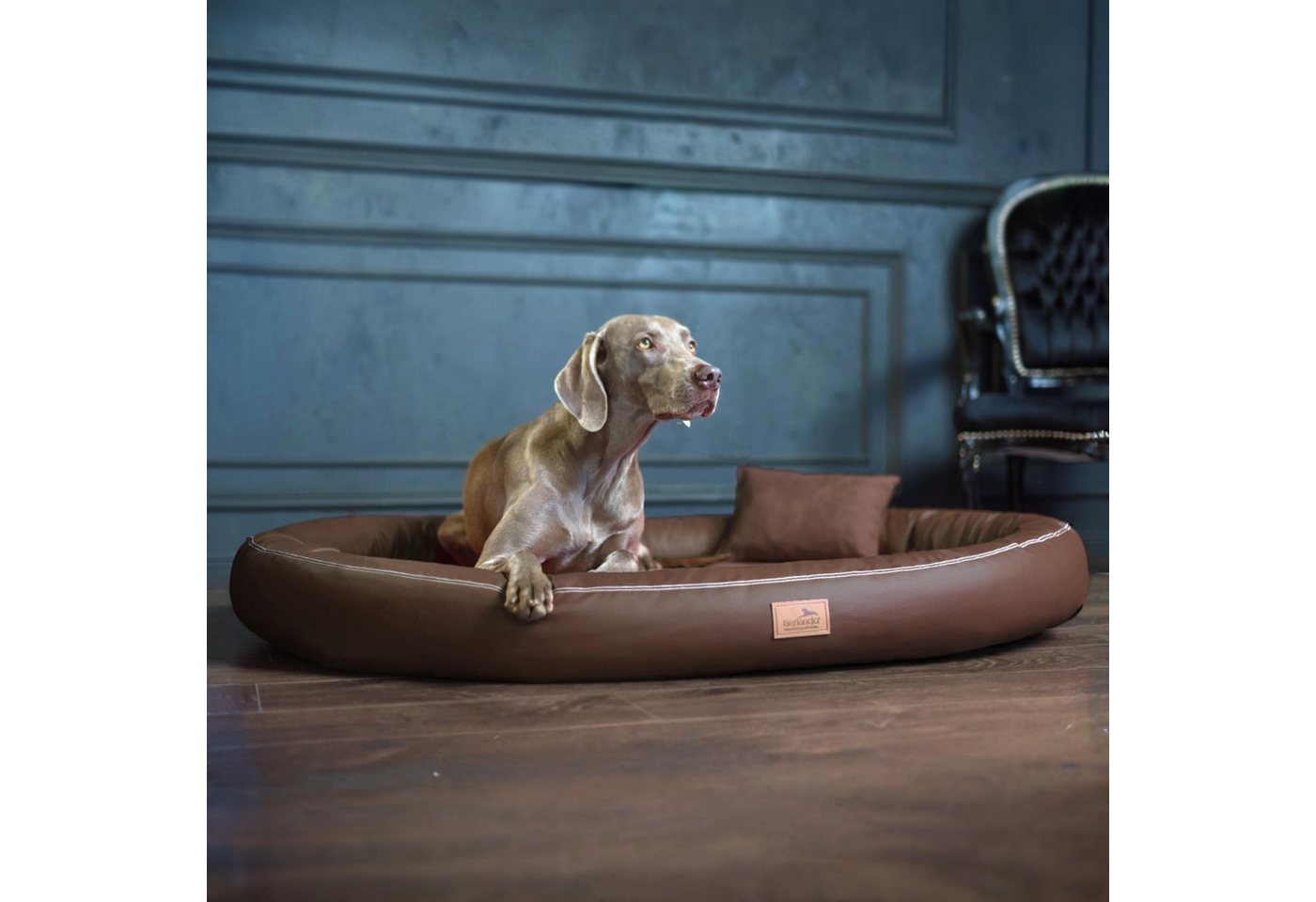 Thumbnail - tierlando® Tierbett Orthopädisches Hundebett GILBERT VIP aus Velours und Kunstlede, Latexkern, Wasserabweisend, Pflegele...