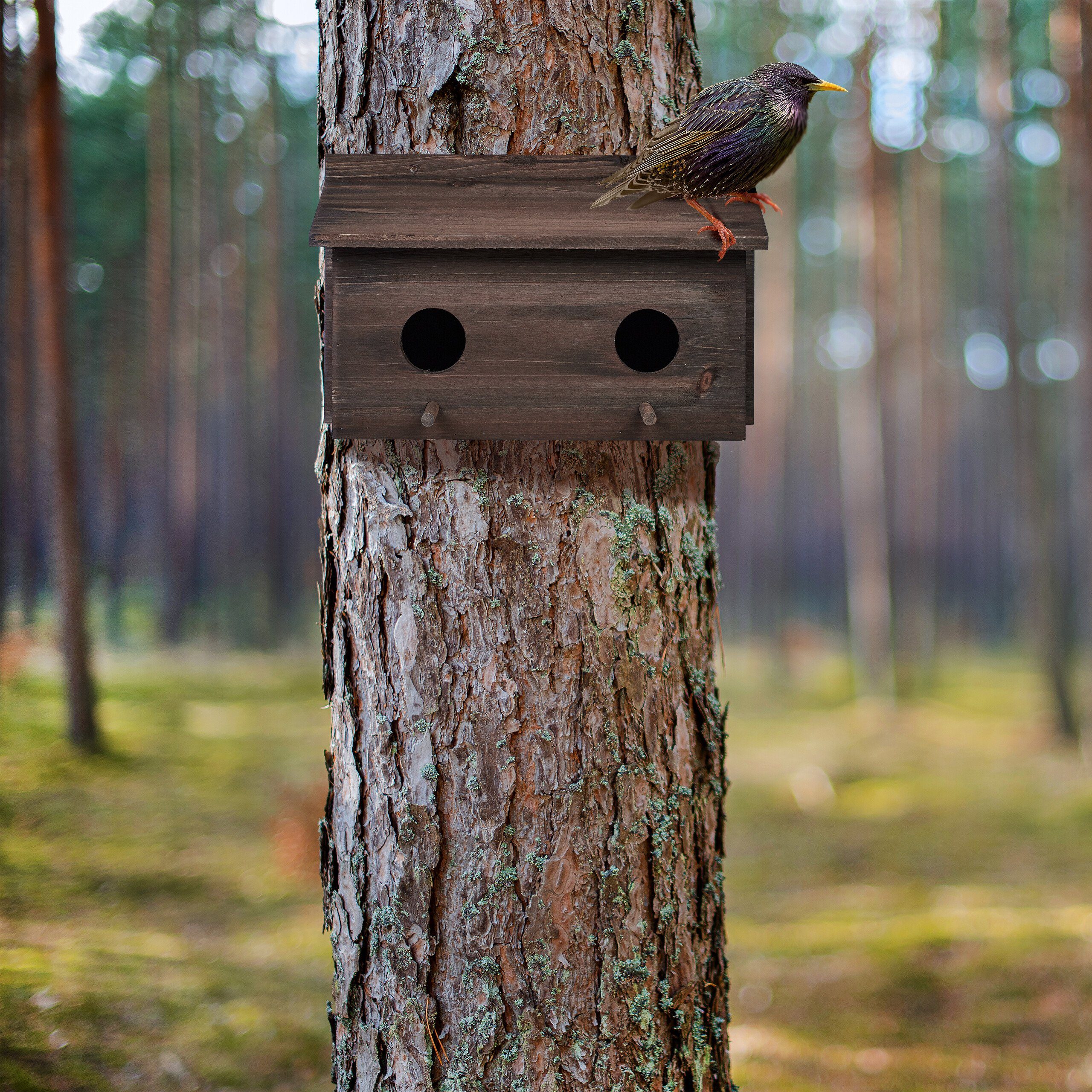 relaxdays Stare Nistkasten für Vogelhaus