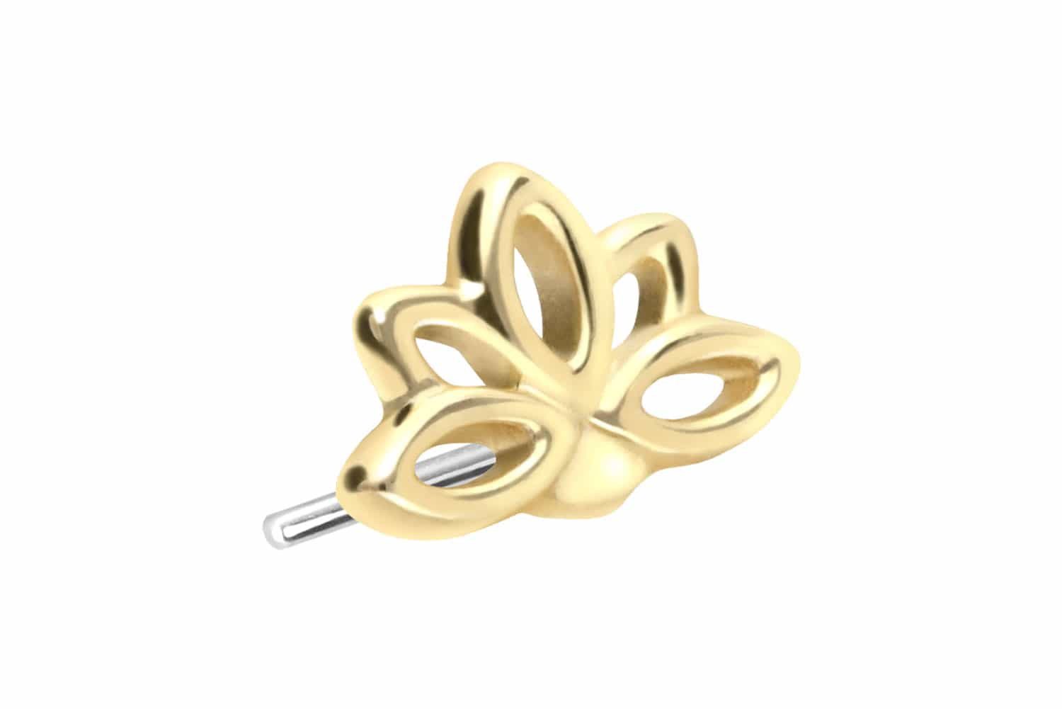 Piercing-Set 14 Karat Gold Aufsatz mit Titan Push Pin LOTUSBLÜTE