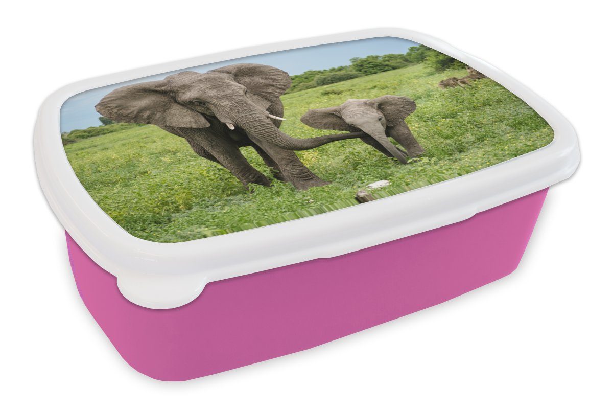 Kinder, Snackbox, Kunststoff, für - (2-tlg), Kunststoff Elefant Erwachsene, Brotbox MuchoWow Mädchen, Park, Brotdose Lunchbox Natur rosa -