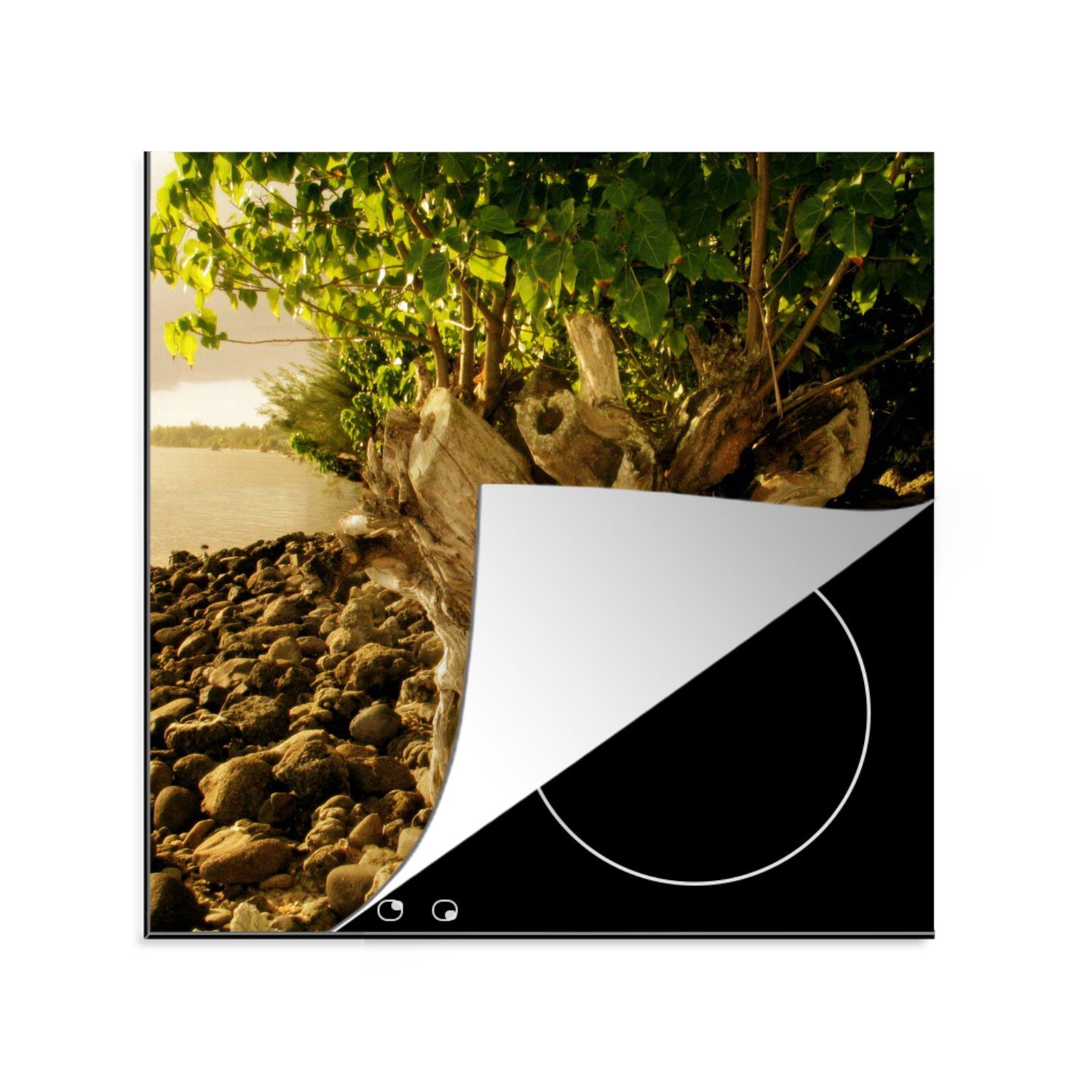 MuchoWow Herdblende-/Abdeckplatte Ein gefällter Baum mit neuem Leben auf der Insel Mo'orea, Vinyl, (1 tlg), 78x78 cm, Ceranfeldabdeckung, Arbeitsplatte für küche