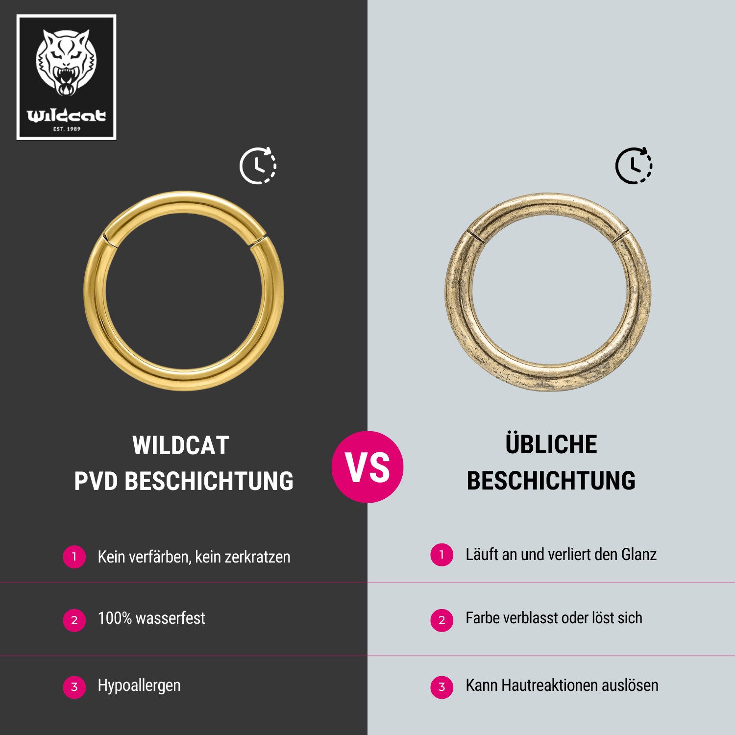 Wildcat Nasenpiercing Hinged Segmentring für Ohr, Lippe, Nase, Bauchnabel, 1 Stück, Chirurgenstahl 316L - wasserfest, hautverträglich, Silber