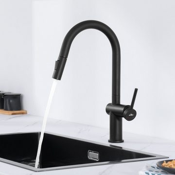 AuraLum pro Küchenarmatur 360° Spültischarmatur Wasserhahn Küche Ausziehbar, 2 Strahlarten