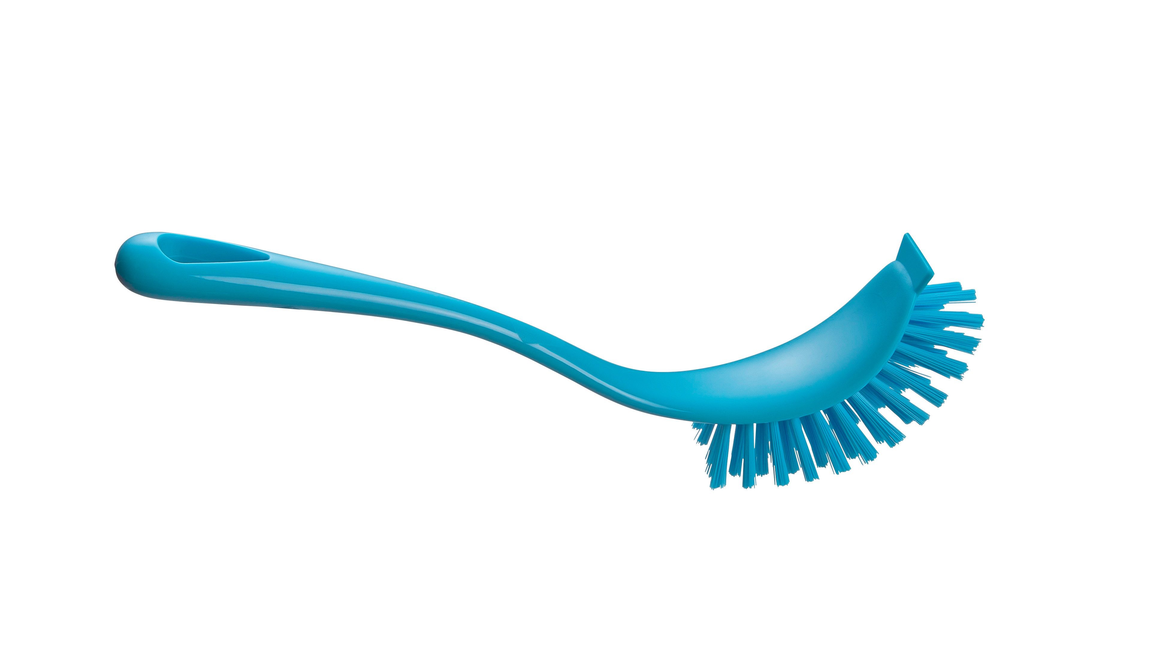 haug bürsten Reinigungsbürste Rondo Spülbürste oval - türkis - HACCP-Konzept - für Haushalt/Küche, mit Zusatzkratzer gegen hartnäckigen Schmutz - Made in Germany