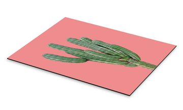 Posterlounge Alu-Dibond-Druck Finlay and Noa, Kaktus in Pink, Wohnzimmer Skandinavisch Fotografie